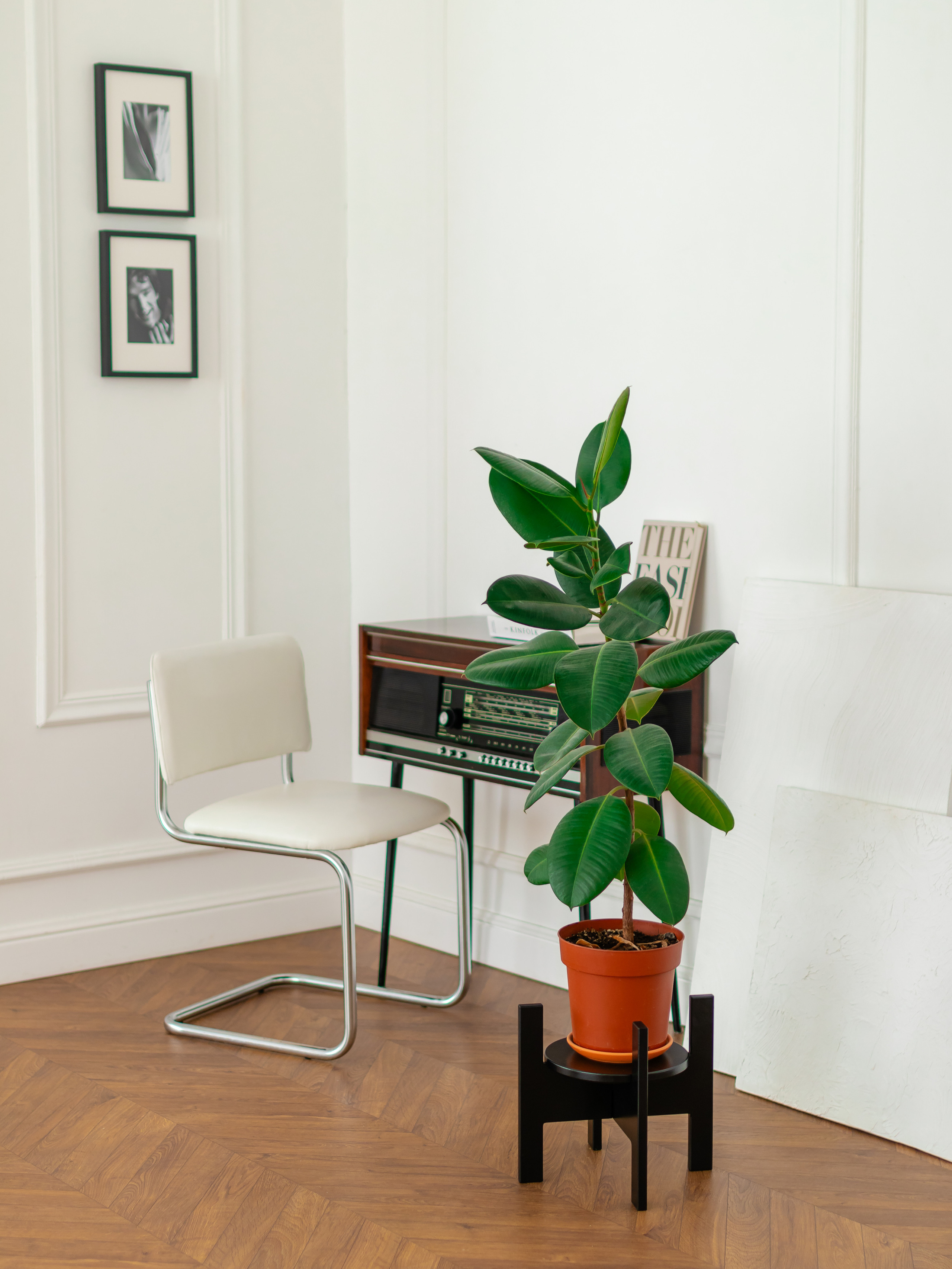 Подставка под цветы. Фотограф в Краснодаре Арина Кудряшова