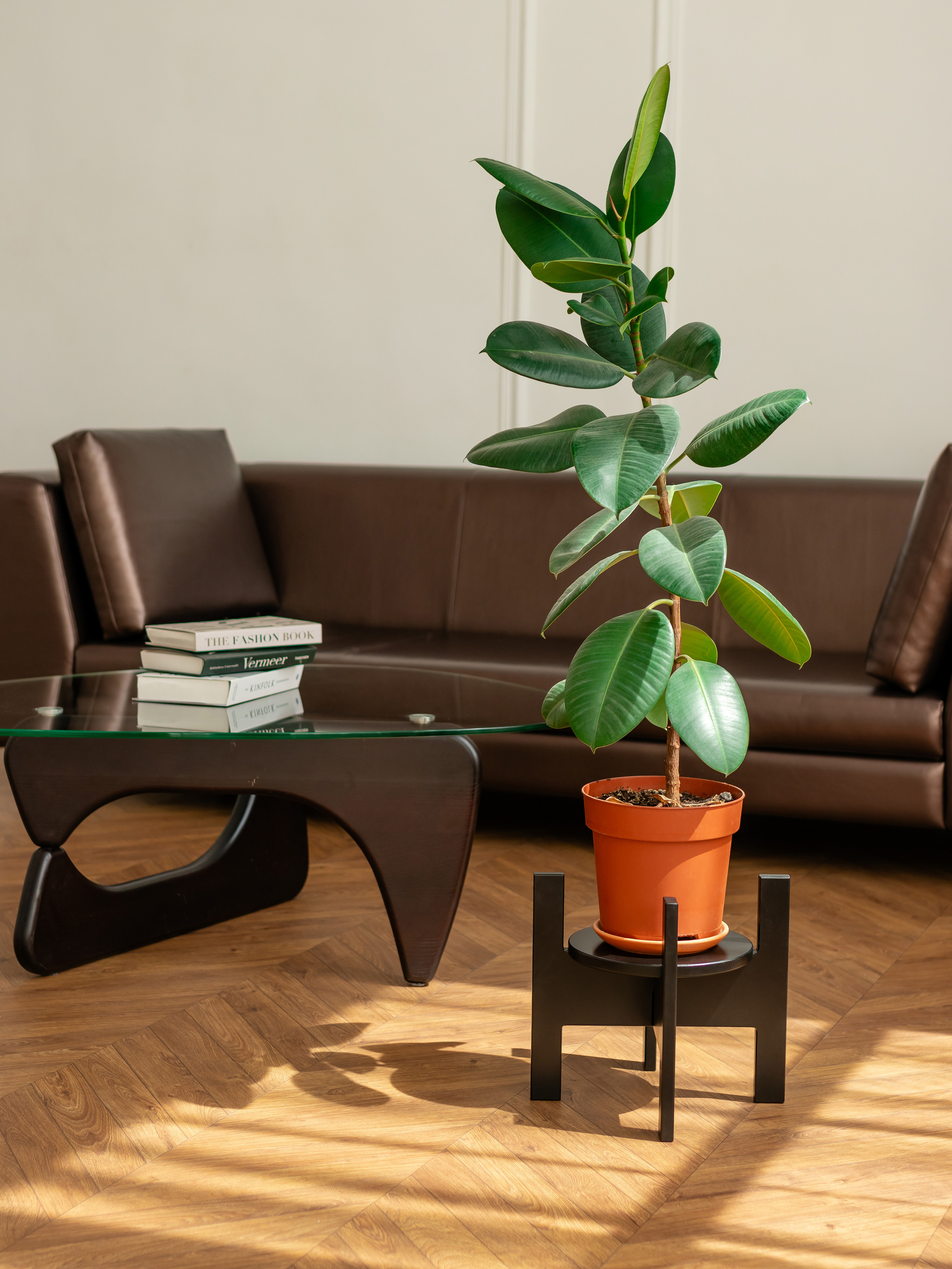 Подставка под цветы. Фотограф в Краснодаре Арина Кудряшова