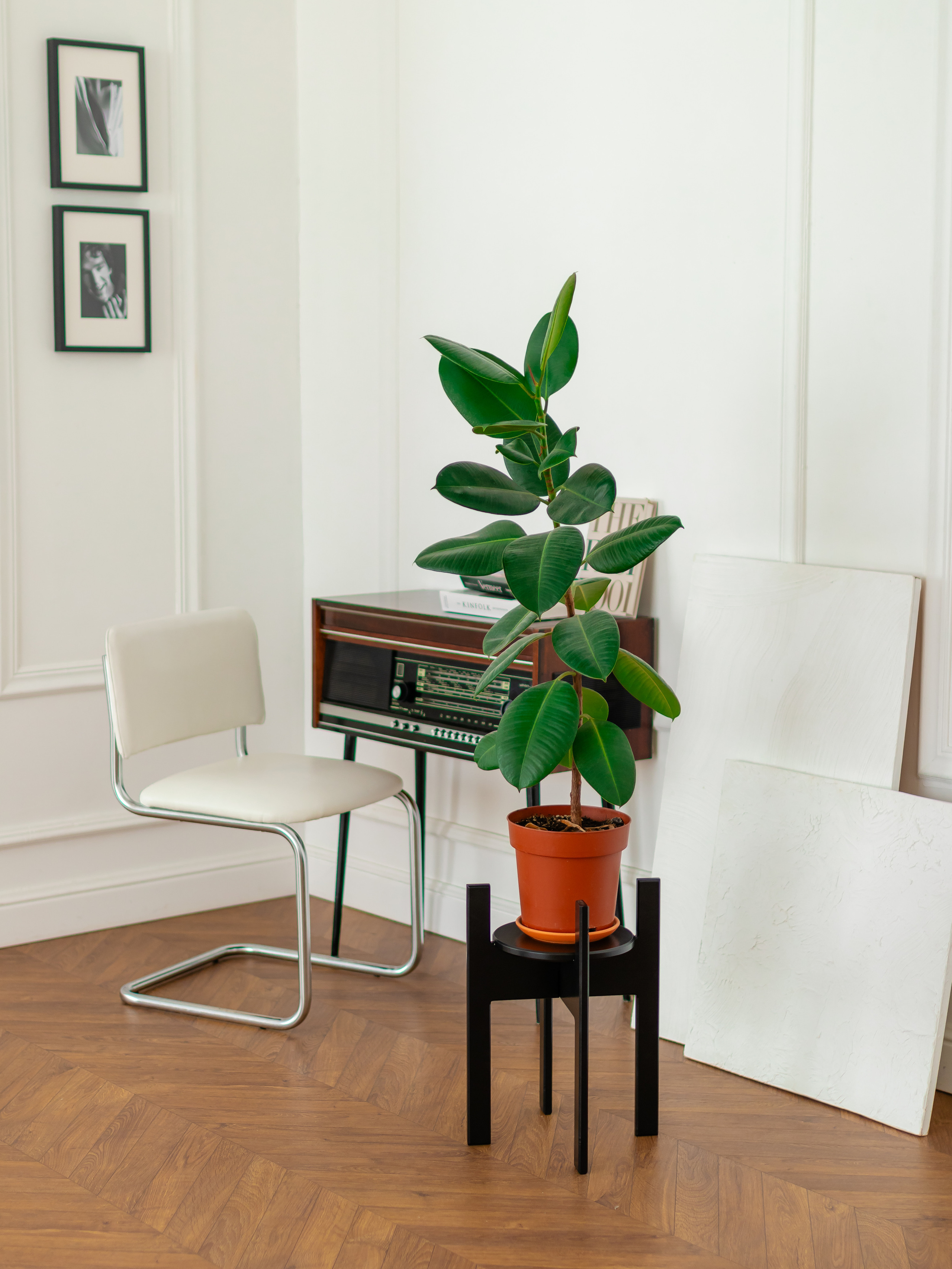 Подставка под цветы. Фотограф в Краснодаре Арина Кудряшова