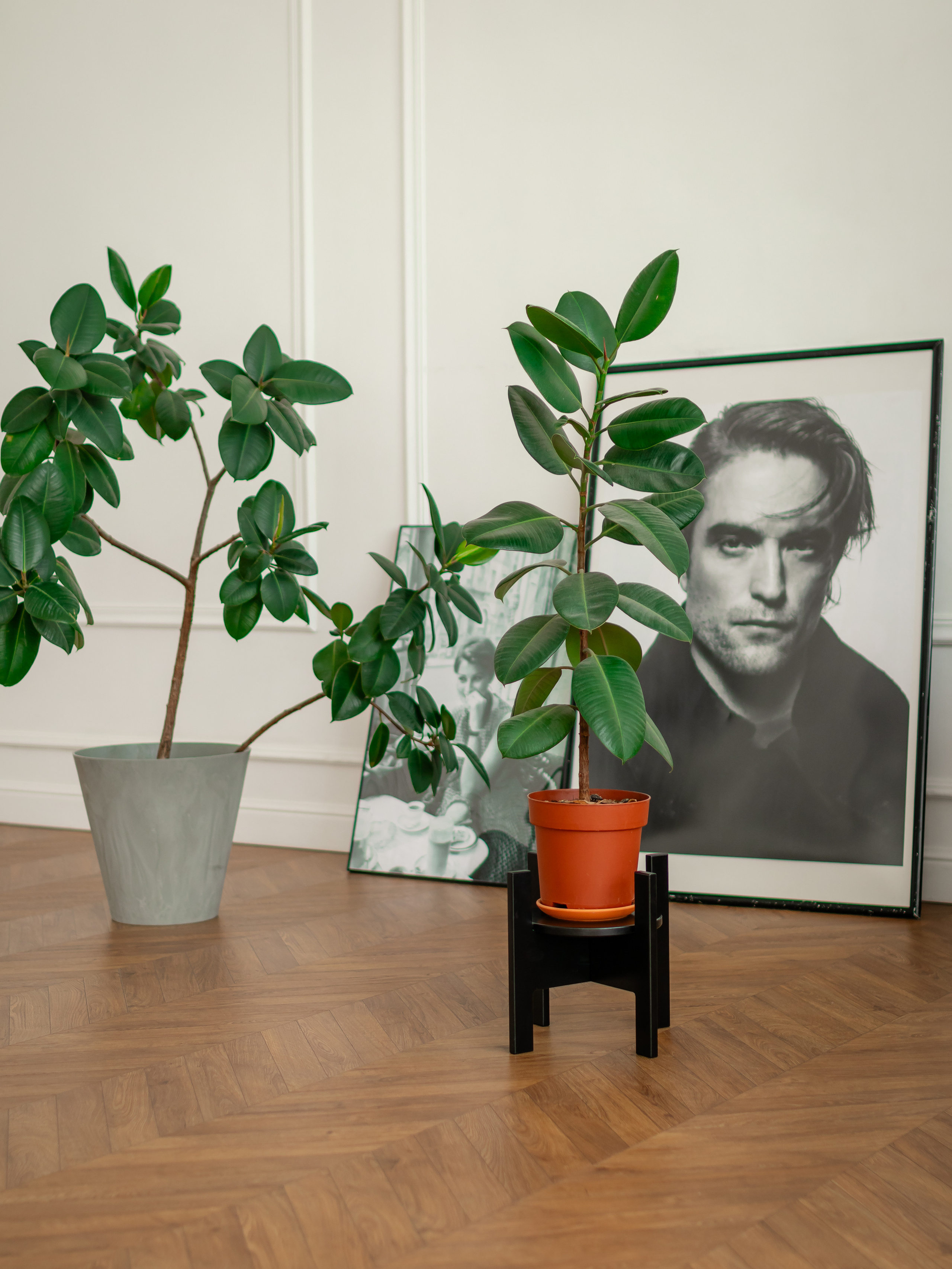 Подставка под цветы. Фотограф в Краснодаре Арина Кудряшова