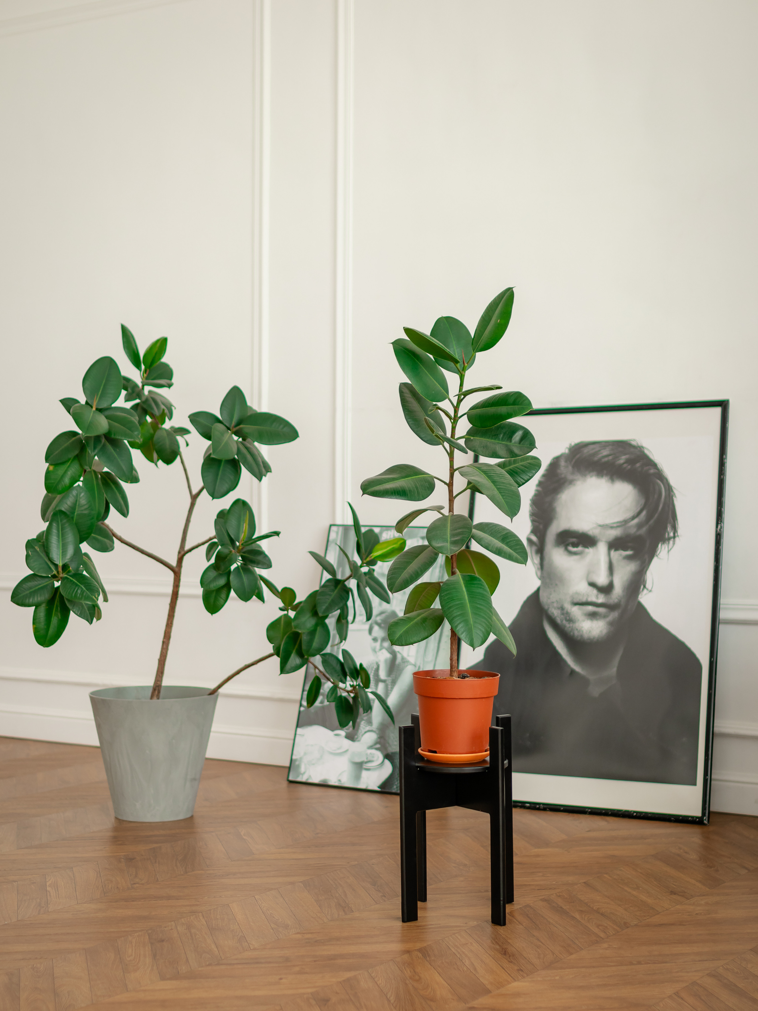 Подставка под цветы. Фотограф в Краснодаре Арина Кудряшова