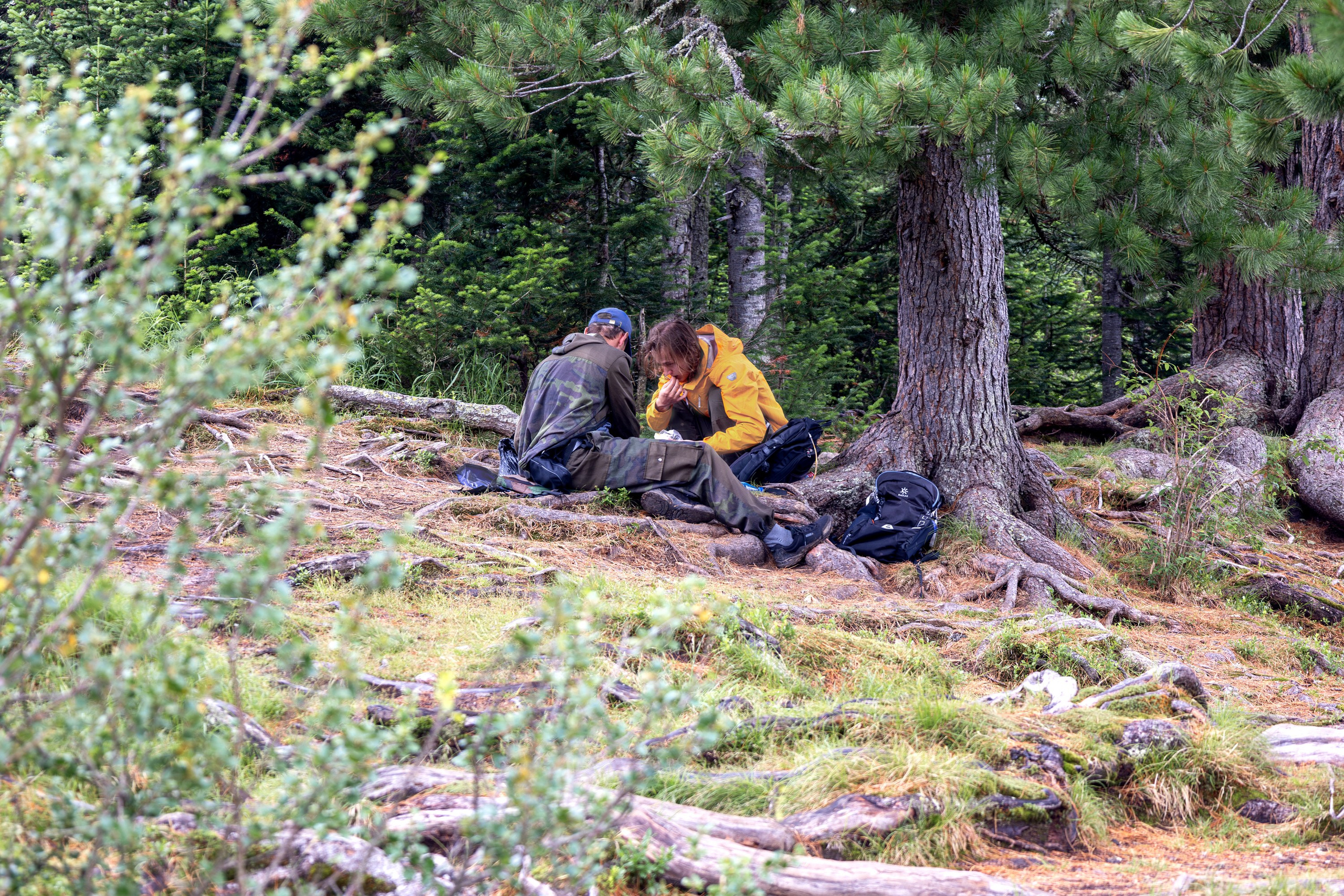 Ергаки. Семейный и детский фотограф в Красноярске, Дивногорцева Светлана