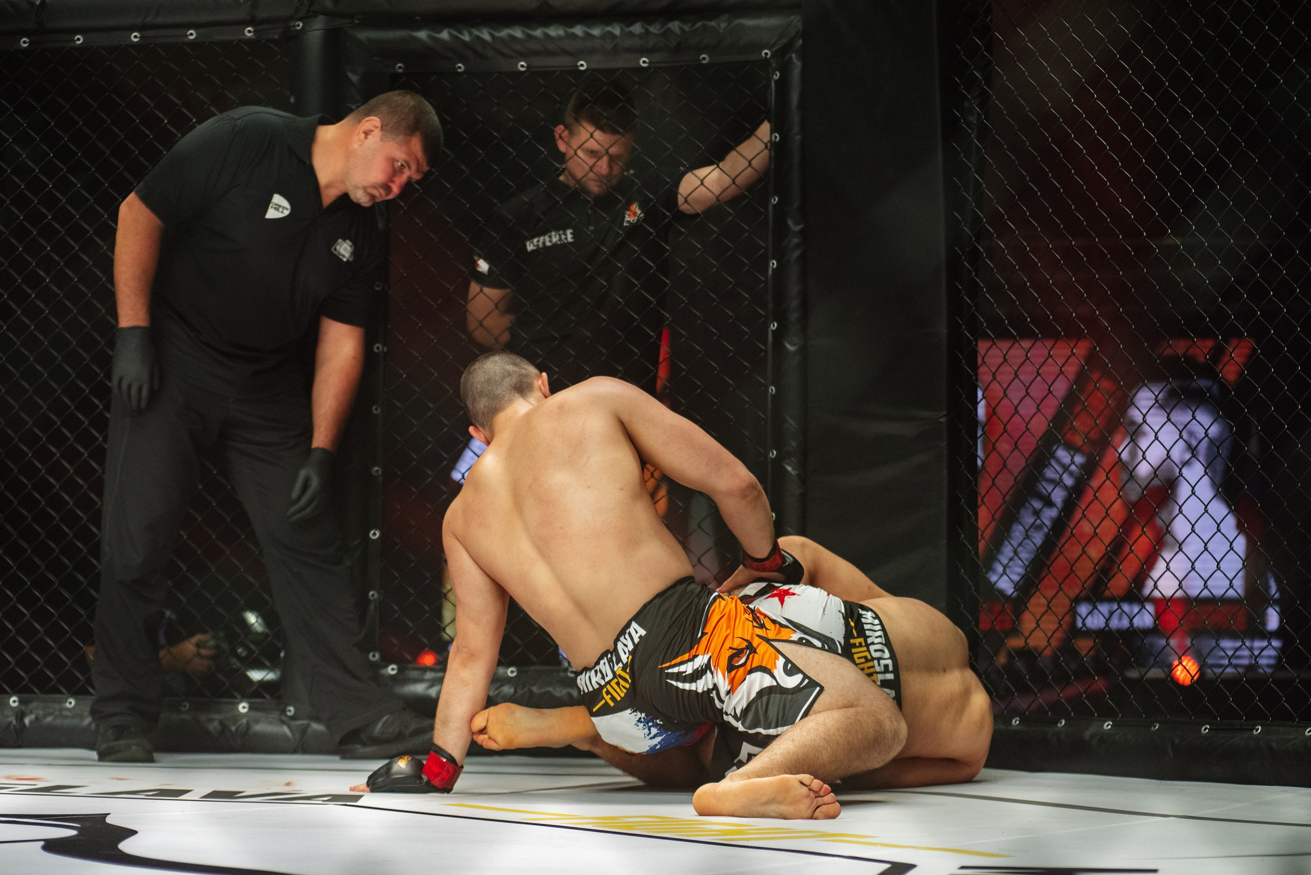 Miroslava Fight