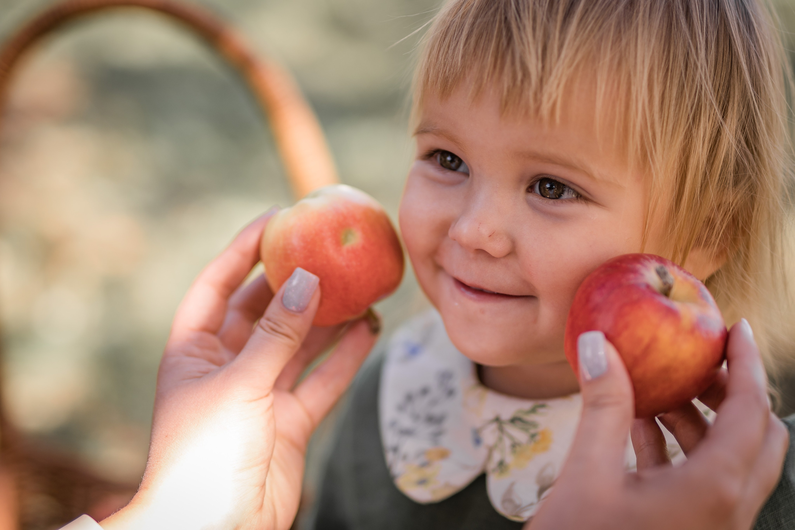 Яблоки. Семейный фотограф Ефремова Виктория