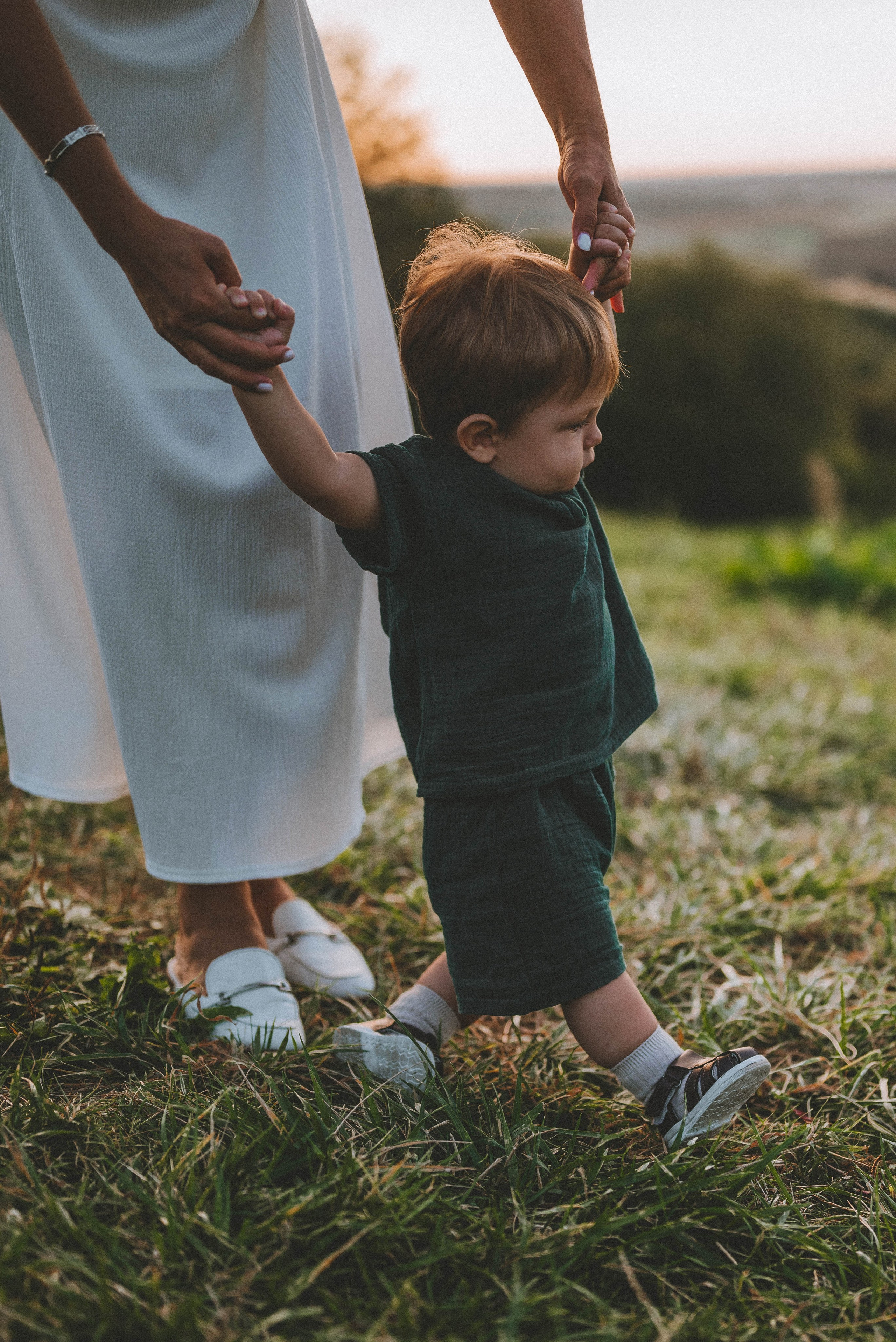Лев с родителями на закате. Фотограф Кристина Пархоменко