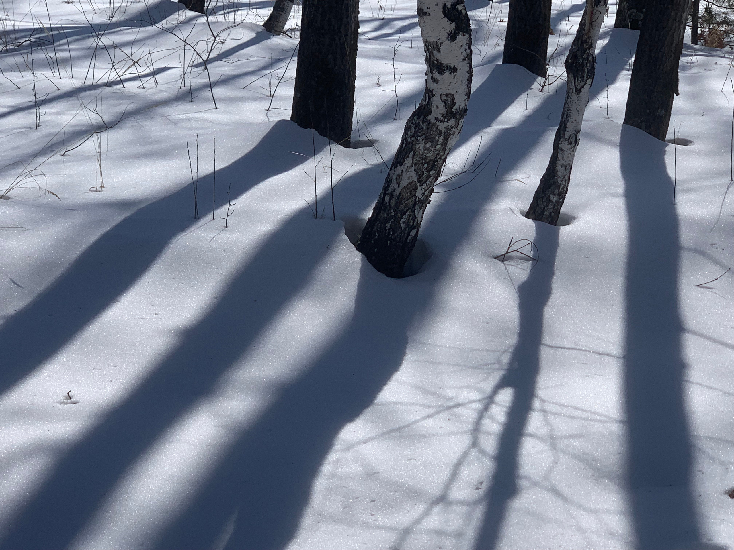 2022. Тащилин Сергей. Фотографии. Жизнь. Хобби