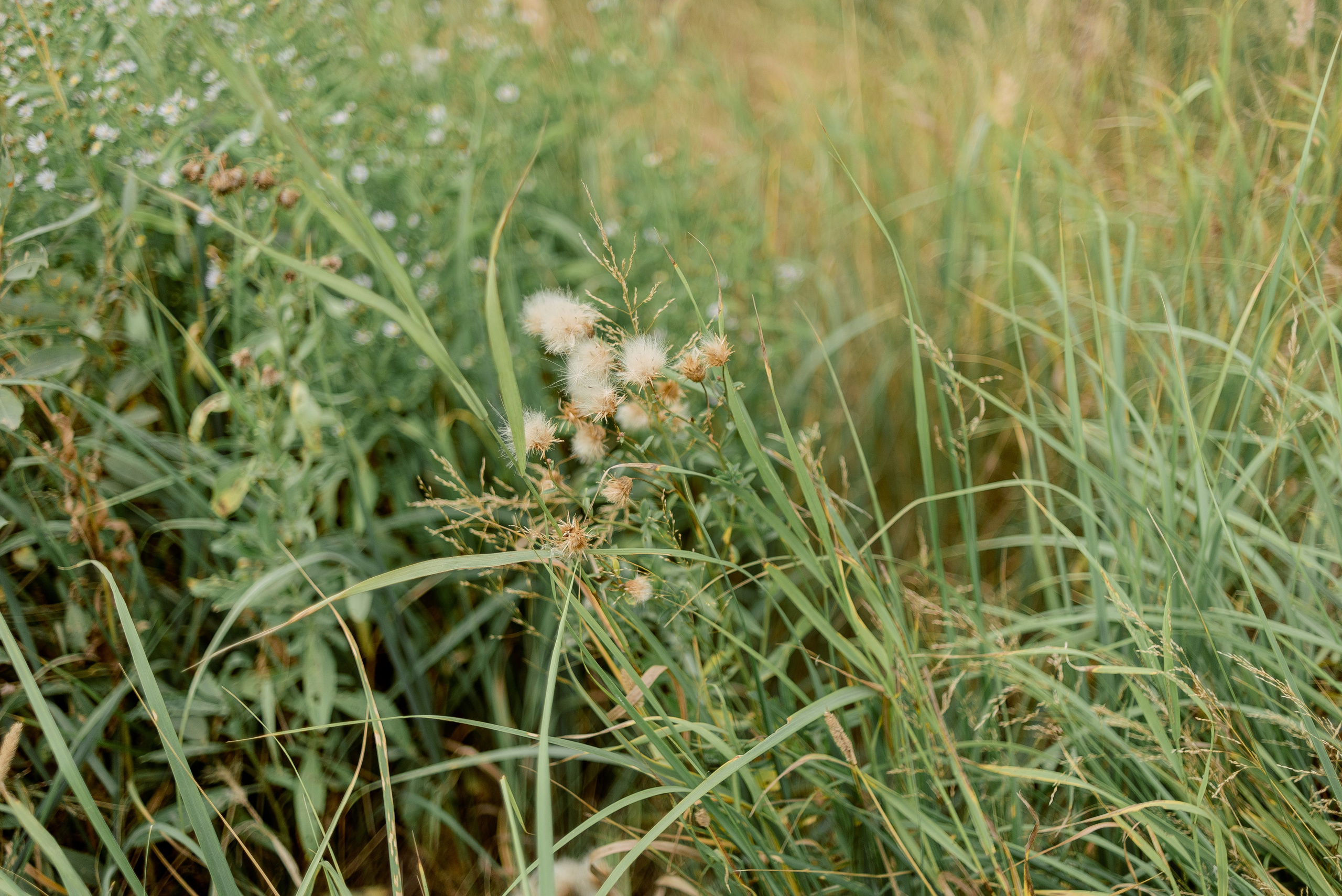 В поле. Фотограф Юлия Попова