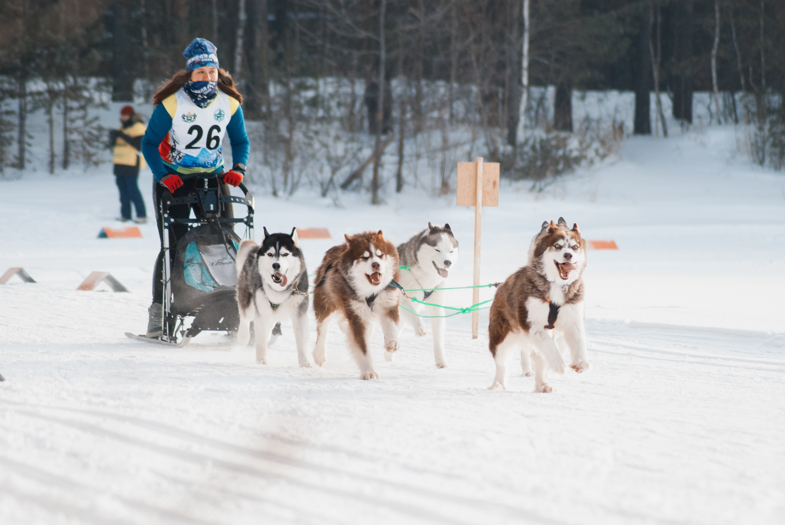 Ездовой спорт. Фотограф в Тюмени Лизавета Сапицкая