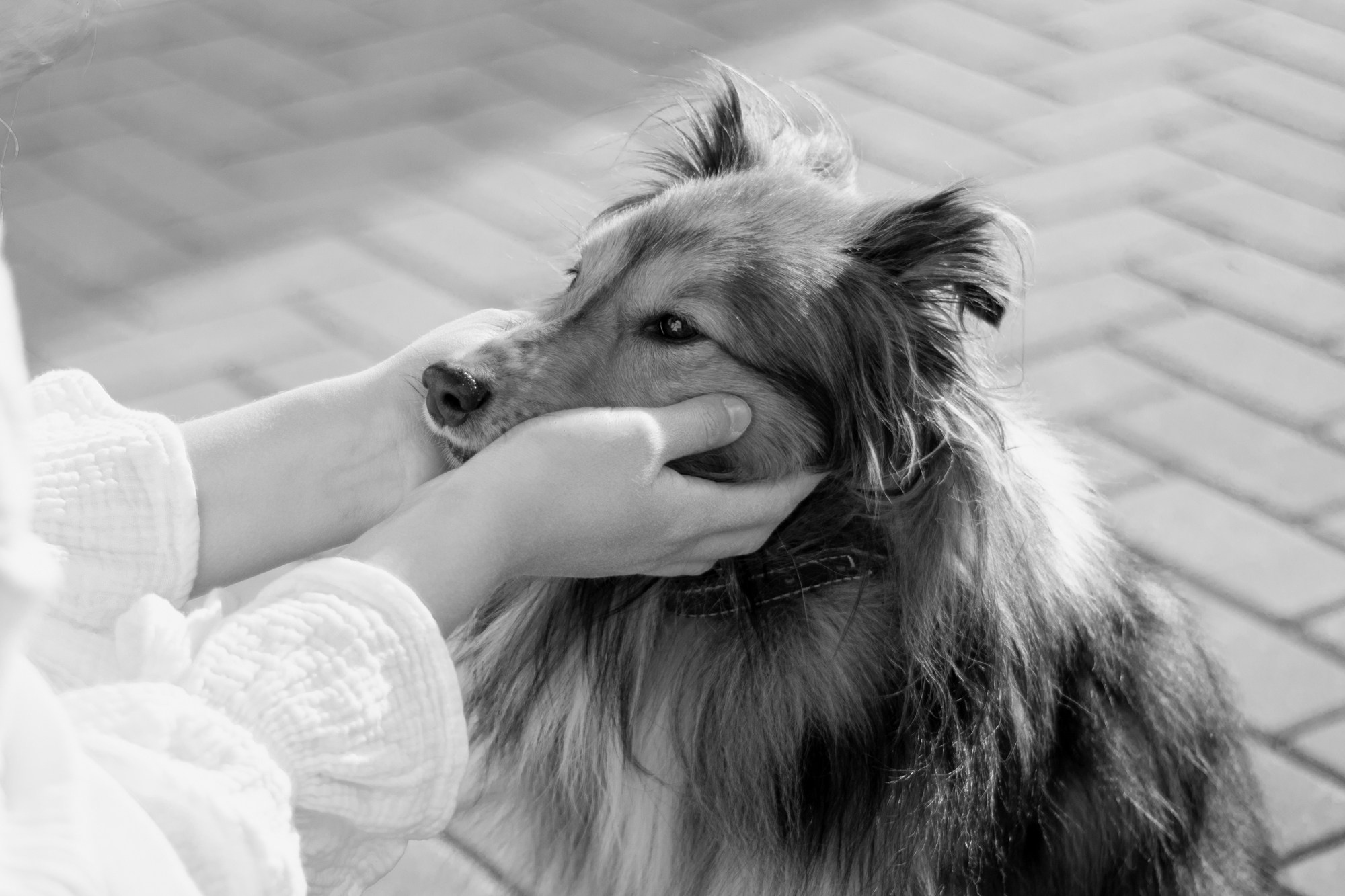 Юли и Несквик. Фотограф в Тюмени Лизавета Сапицкая