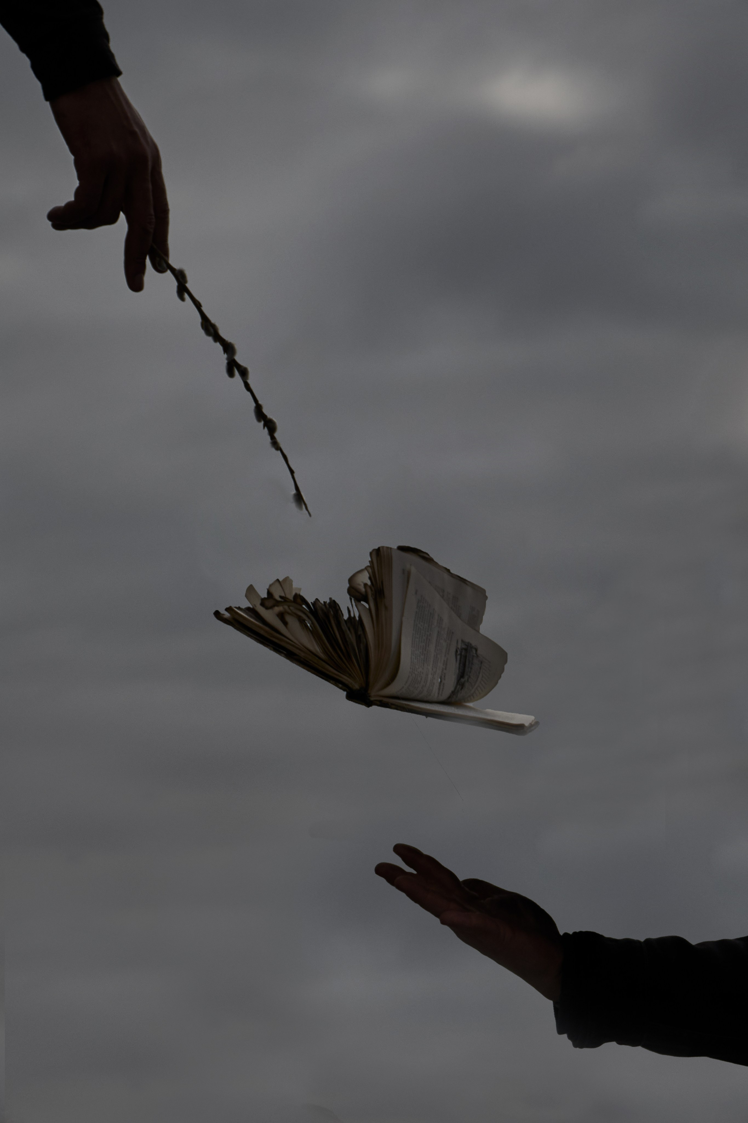 СВРТ Первые муражки. Simpleand1