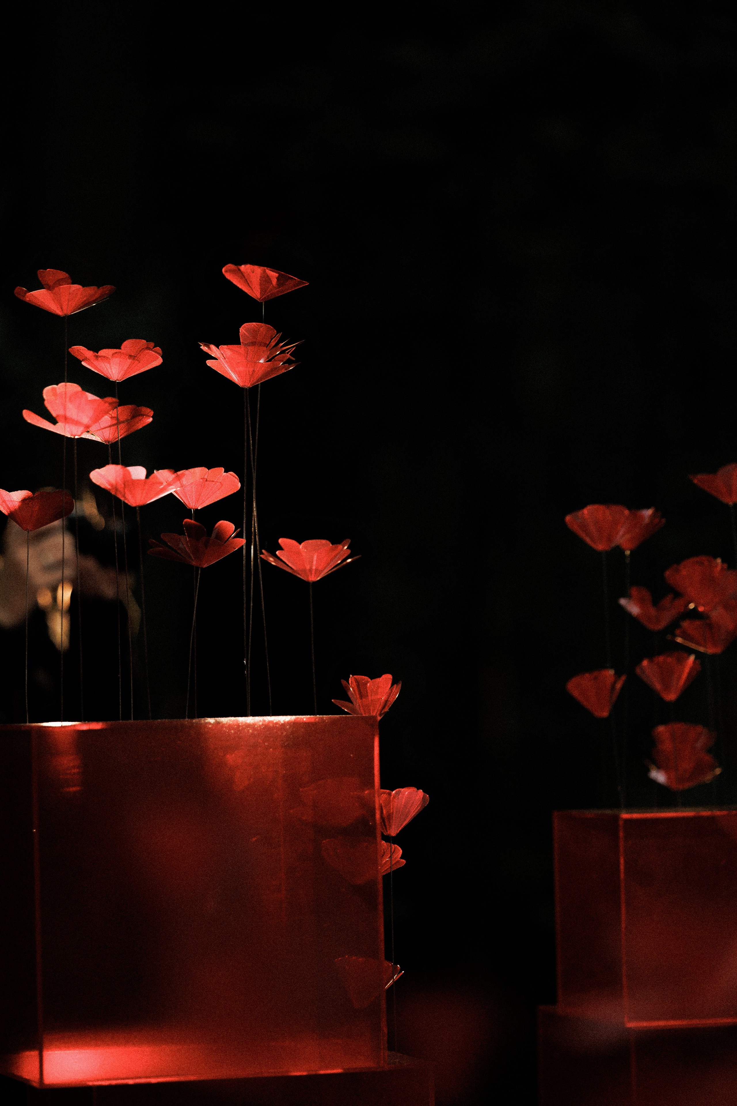 LOVE & HATE | R & N. Свадебный и event-фотограф Иван Волнухин