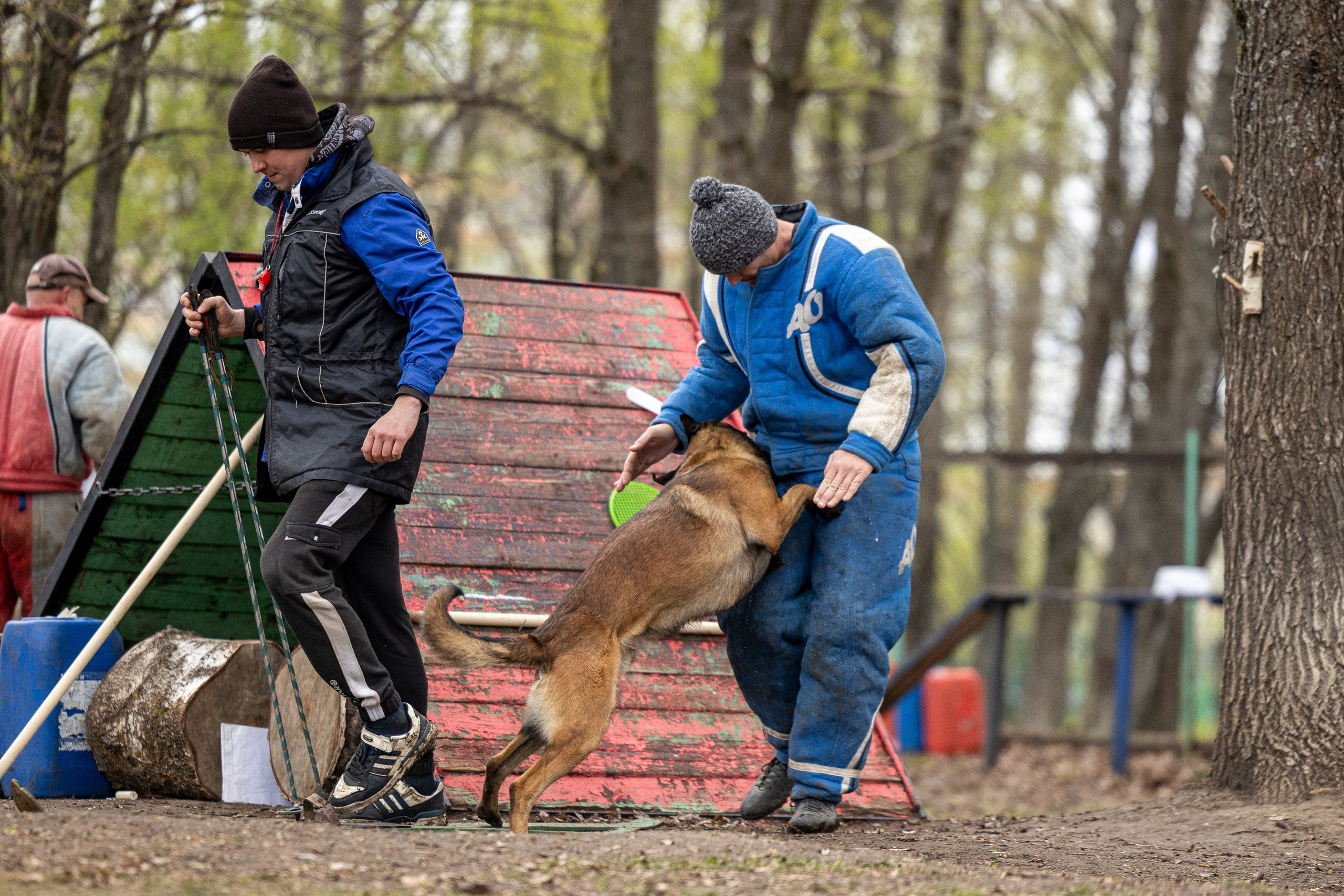 Квалификационные состязания по мондьорингу г. Вологда 11.05.24. Фотограф-анималист Анна Маринич