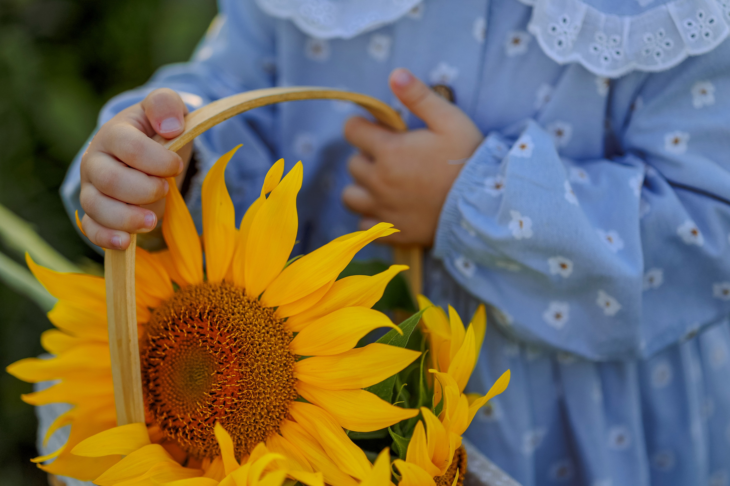 Анна & Полинчик. Фотограф в Омске