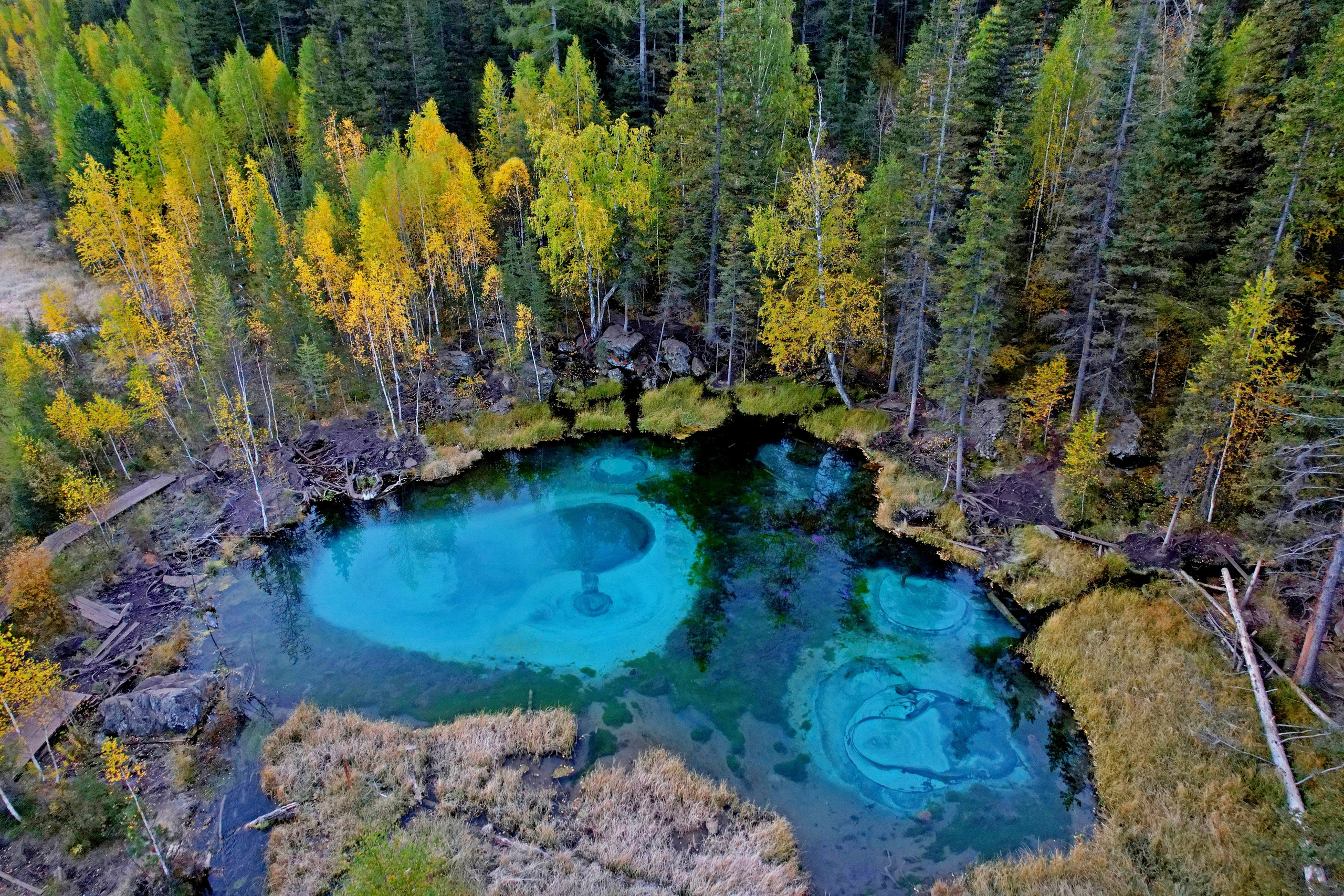 Природа. Макс По — фото и видео съемки любого формата