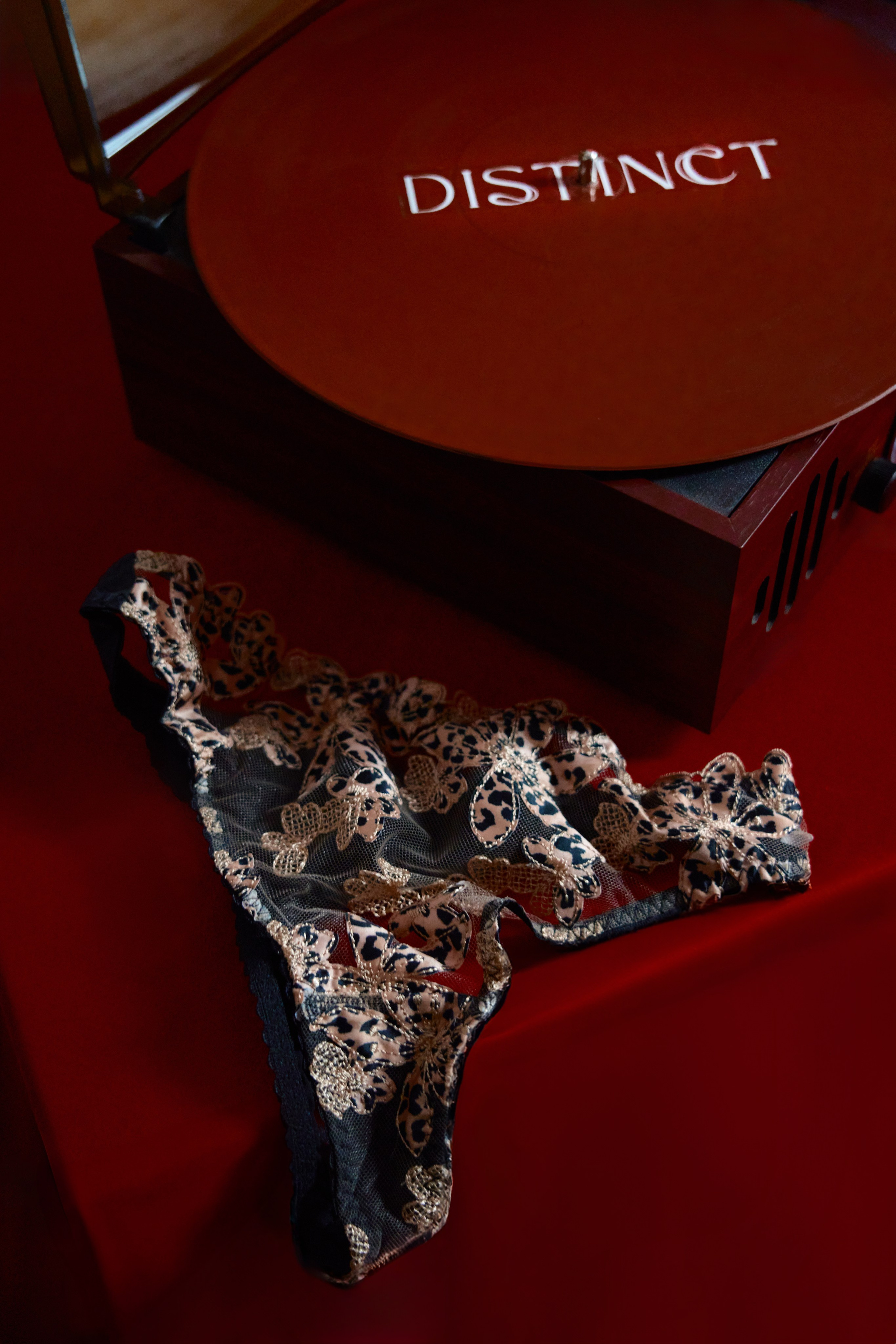 FOR DISTINCT_LINGERIE. Alinsmv