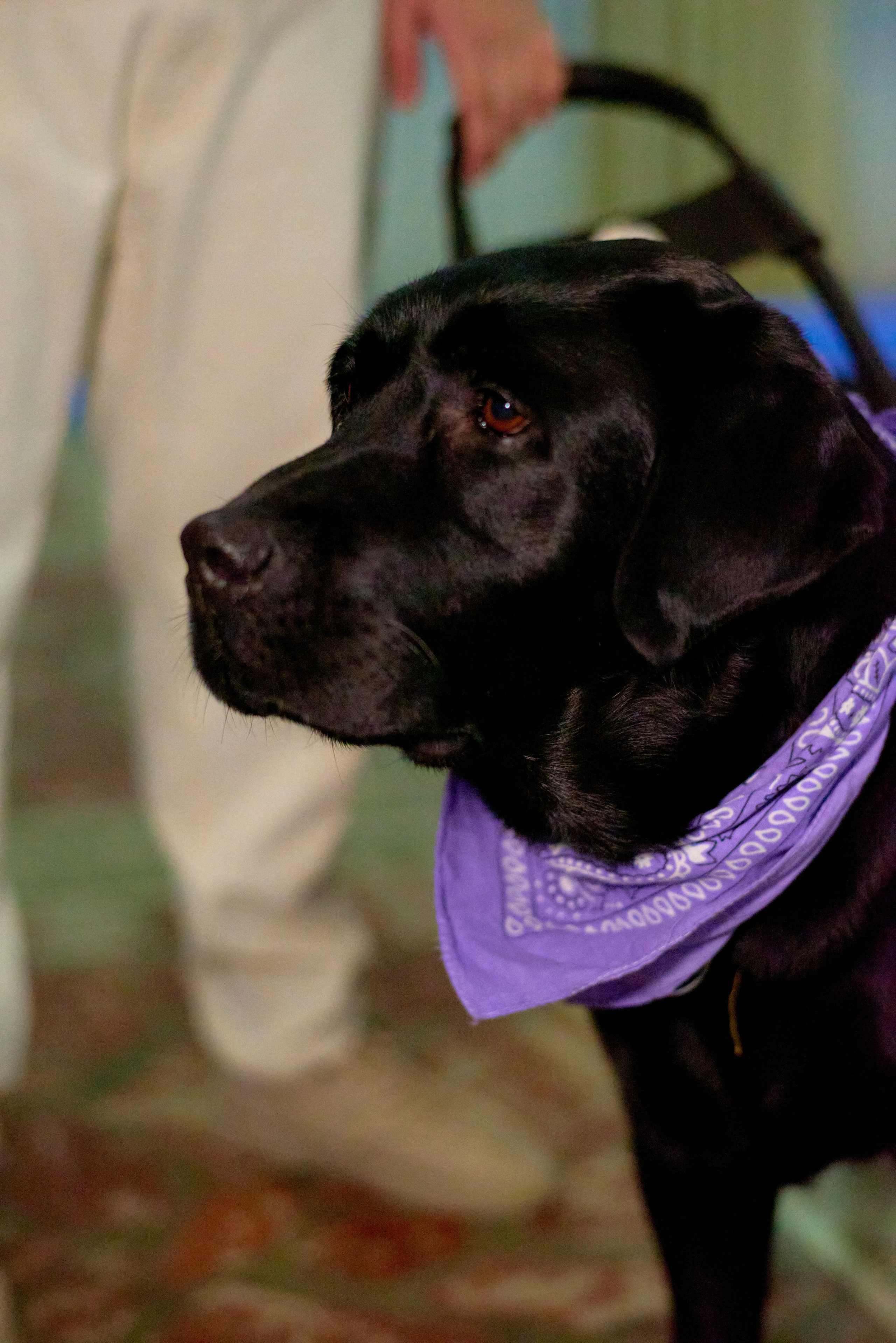 КиВиН-2025. #спецкорНвер