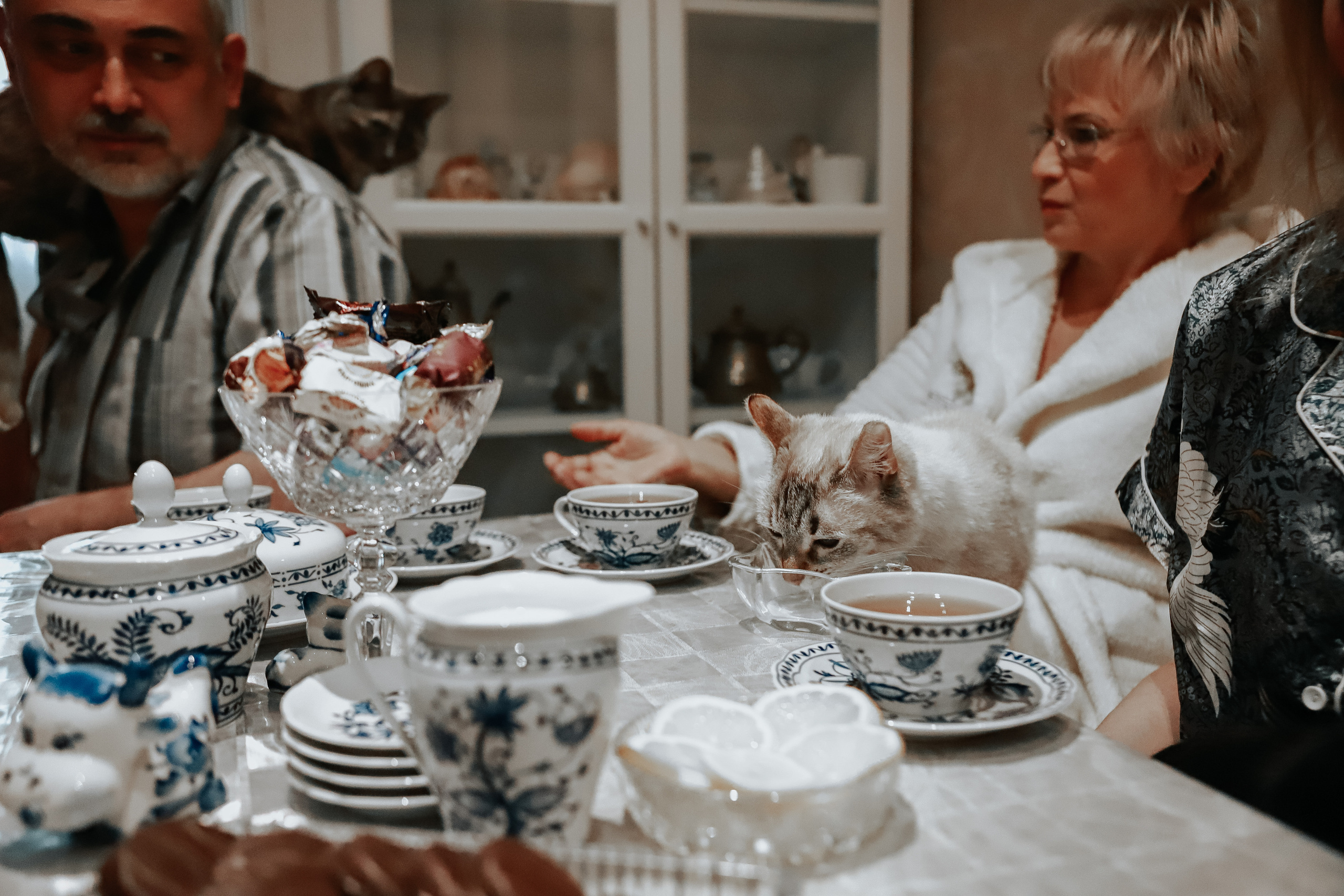 Семейные съемки. Выпускные фотоальбомы Фрязино Щёлково Света Шенгелия