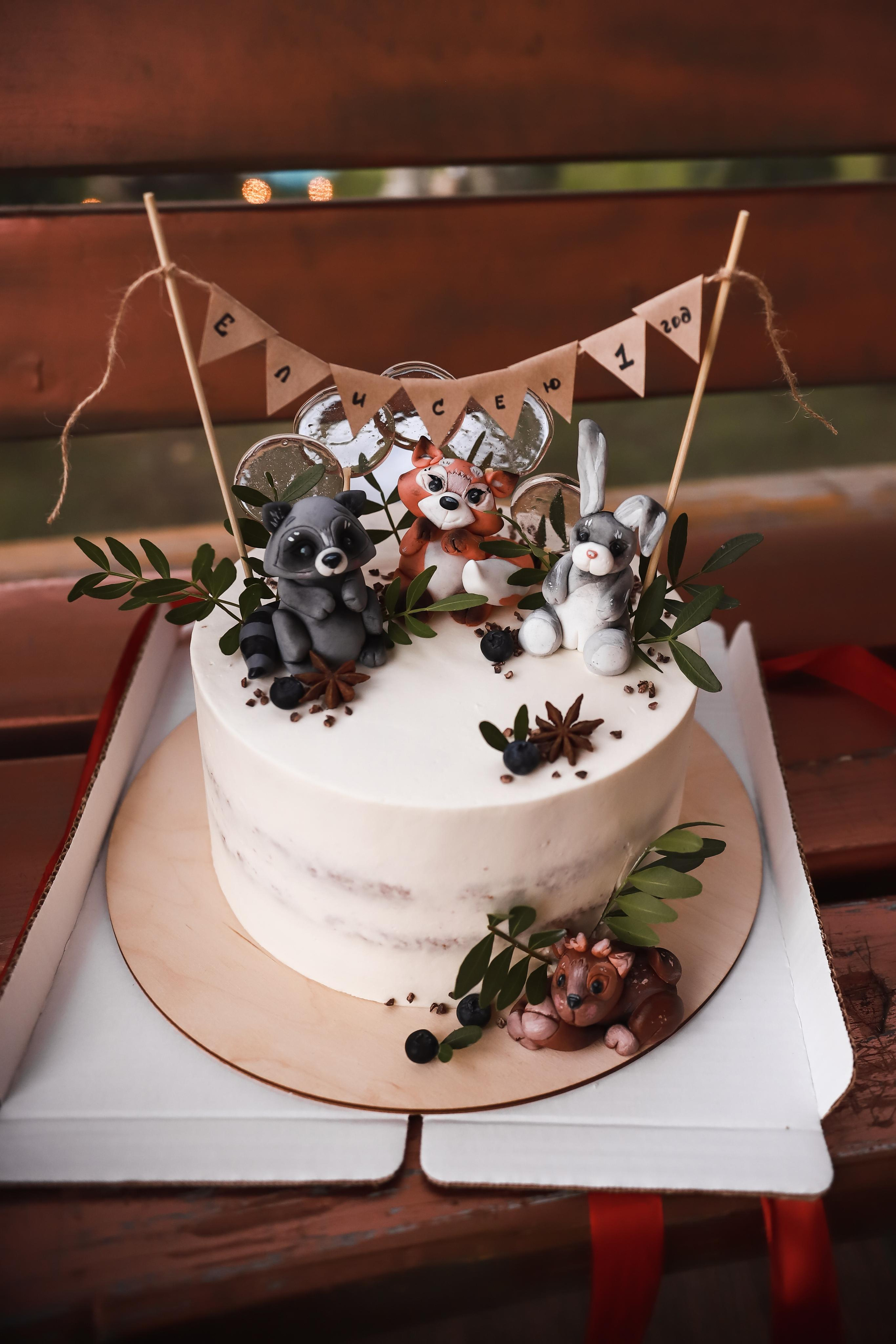 Семейные съемки. Выпускные фотоальбомы Фрязино Щёлково Света Шенгелия