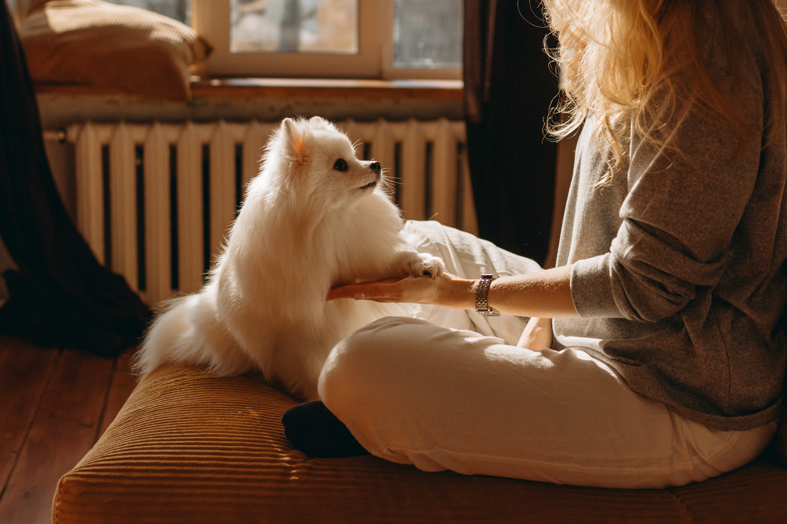 Джесси и ее семья. Фотограф — Анималист | Санкт-Петербург