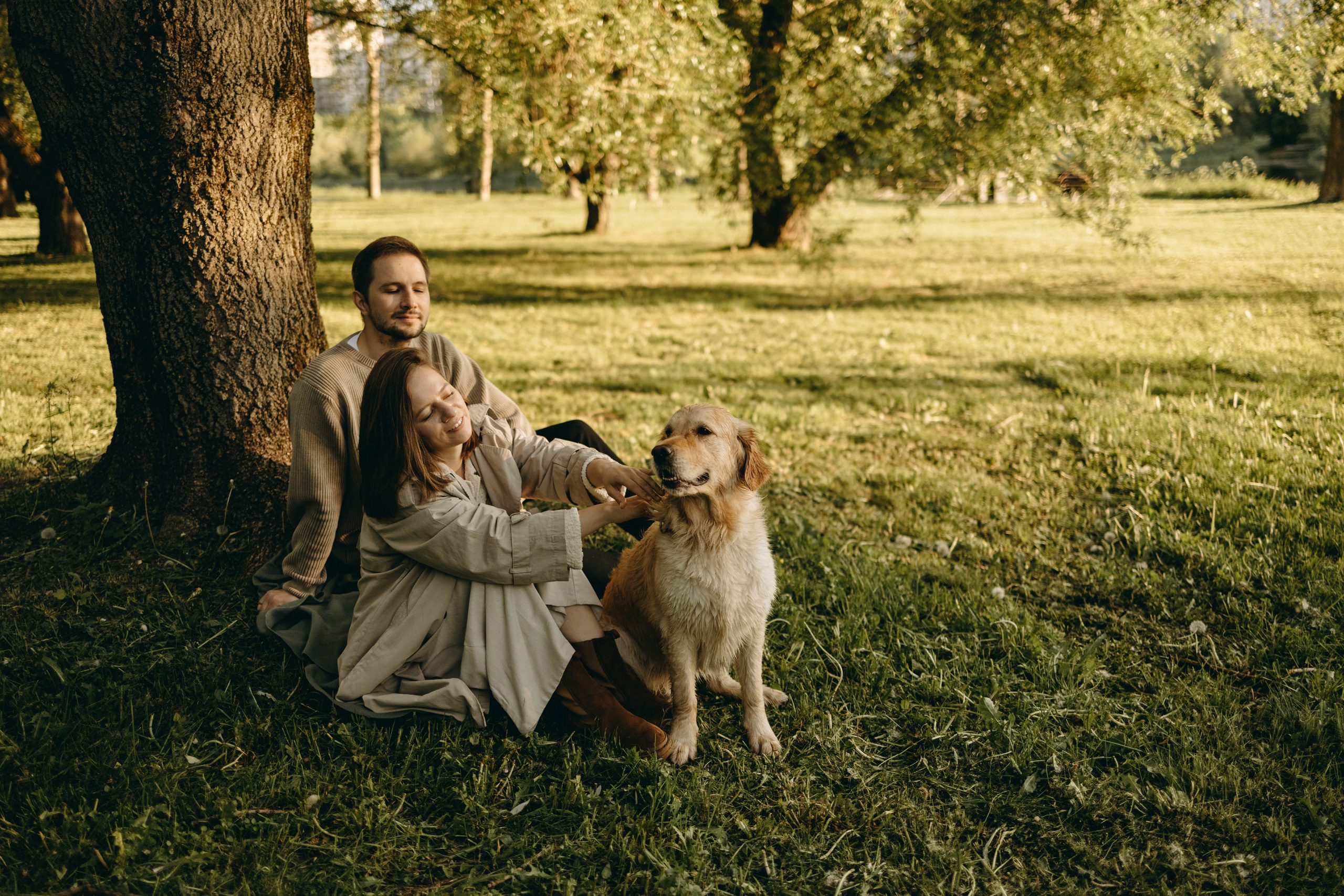 Пенни и ребята. Фотограф — Анималист | Санкт-Петербург