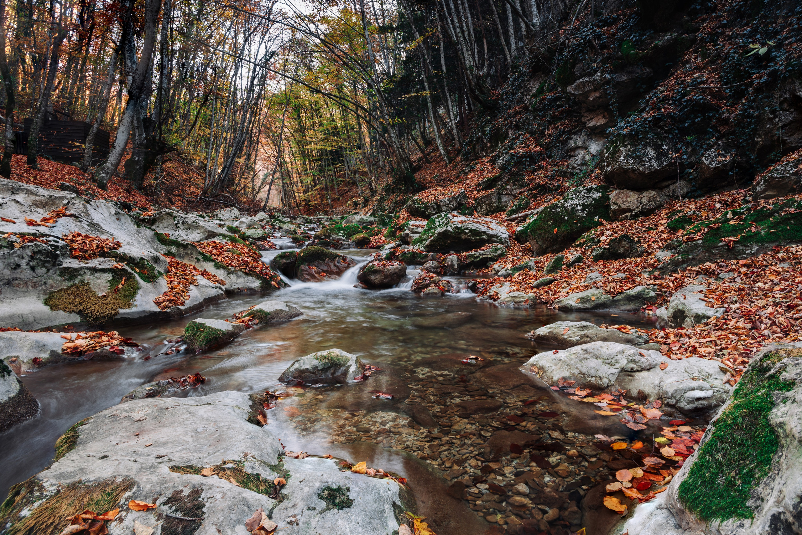 Пейзажи. Дмитрий Шалыгин — Ваш фотограф в Севастополе и Крыму