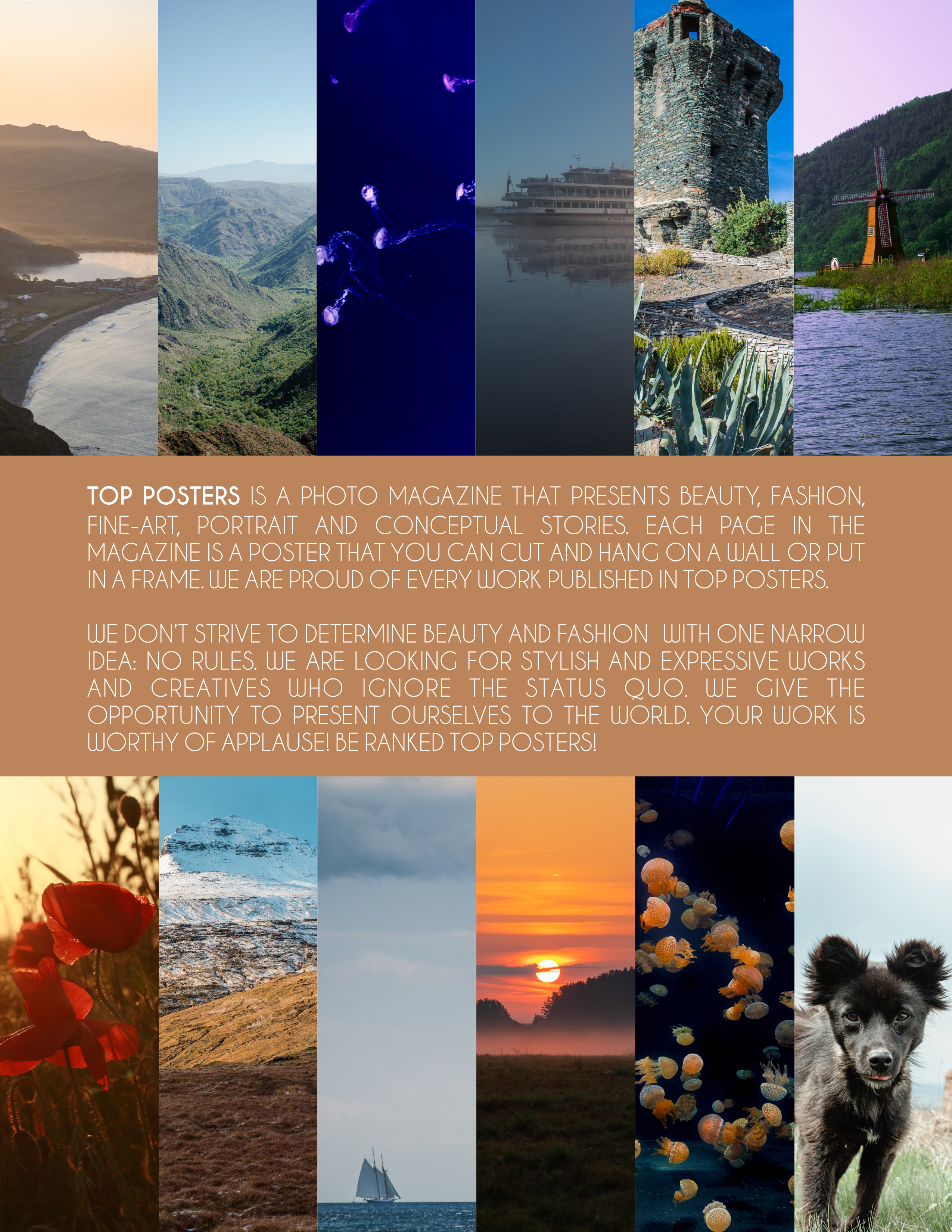 Top posters: Dawn over sea of Japan. Фотограф в Находке Сальникова Оксана