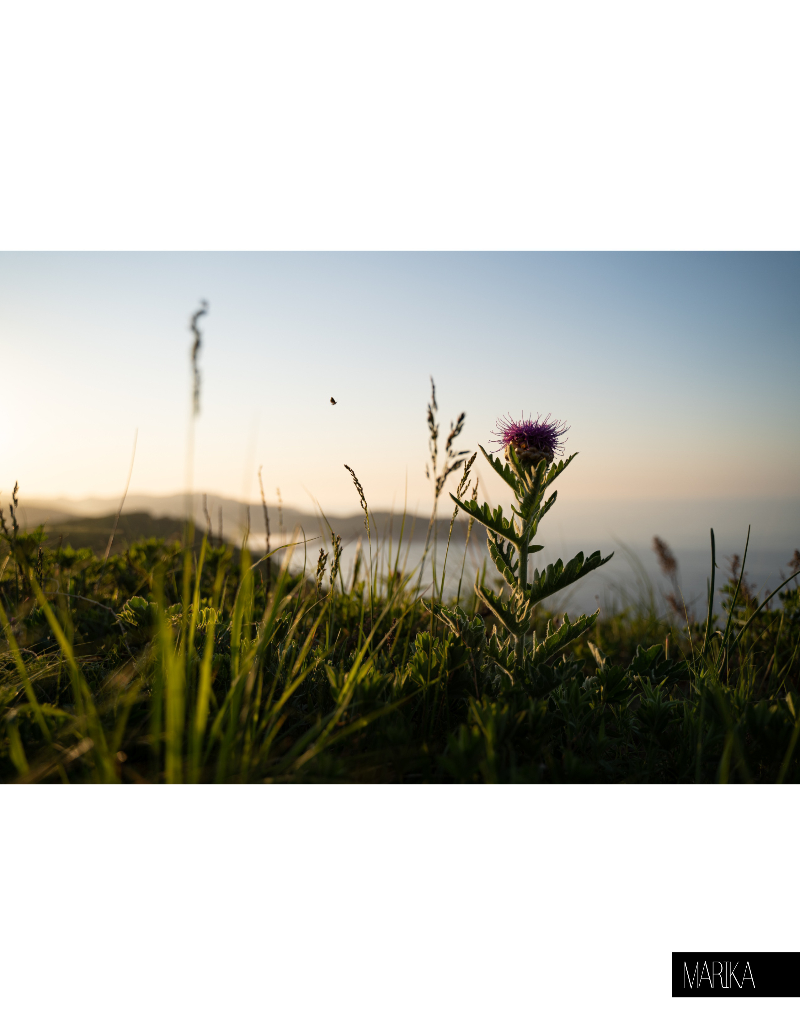 Marika: Dawn over the Sea of Japan. Фотограф в Находке Сальникова Оксана