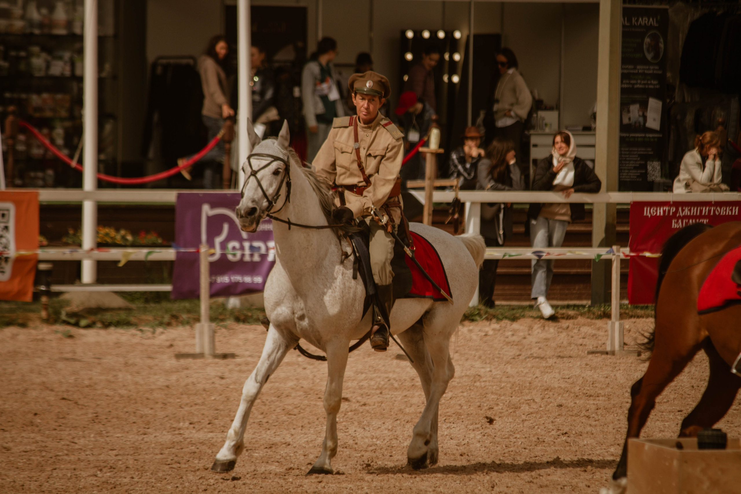 ИППОСФЕРА — Международная конная выставка. Создадим шедевр? Виталина и её фотоискусство