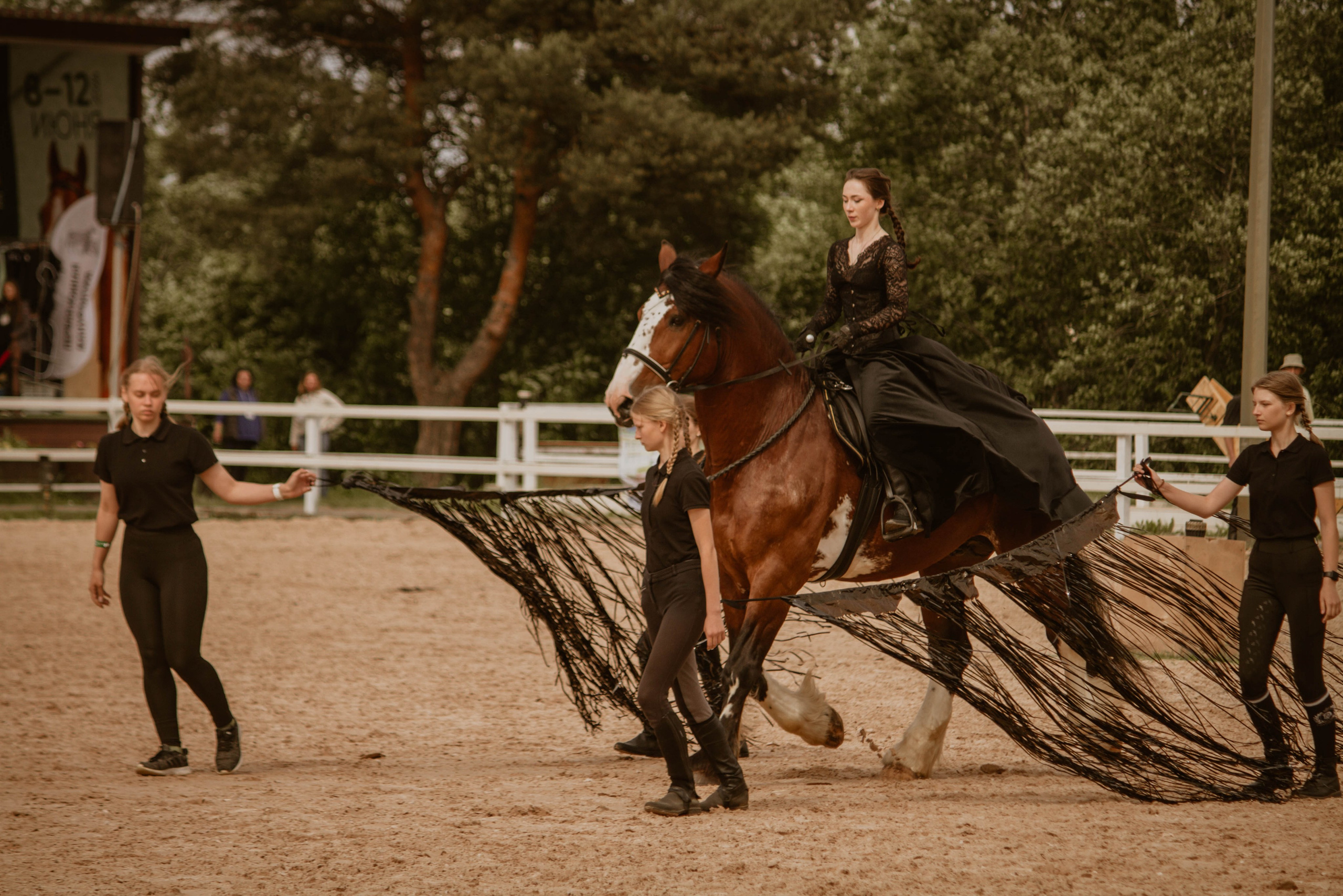 ИППОСФЕРА — Международная конная выставка. Создадим шедевр? Виталина и её фотоискусство