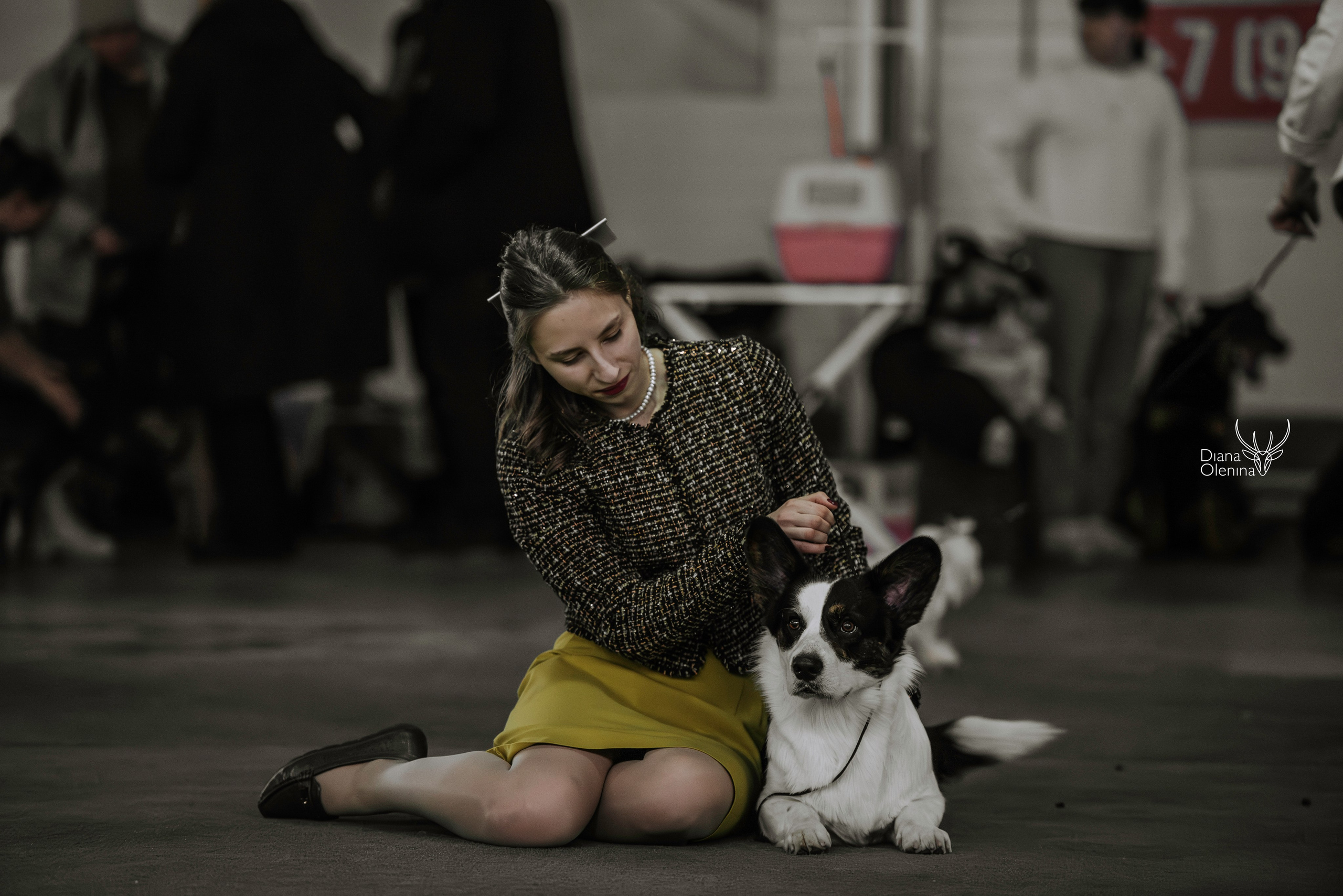 С выставок. Фотограф Диана Оленина Красноярск / Братск