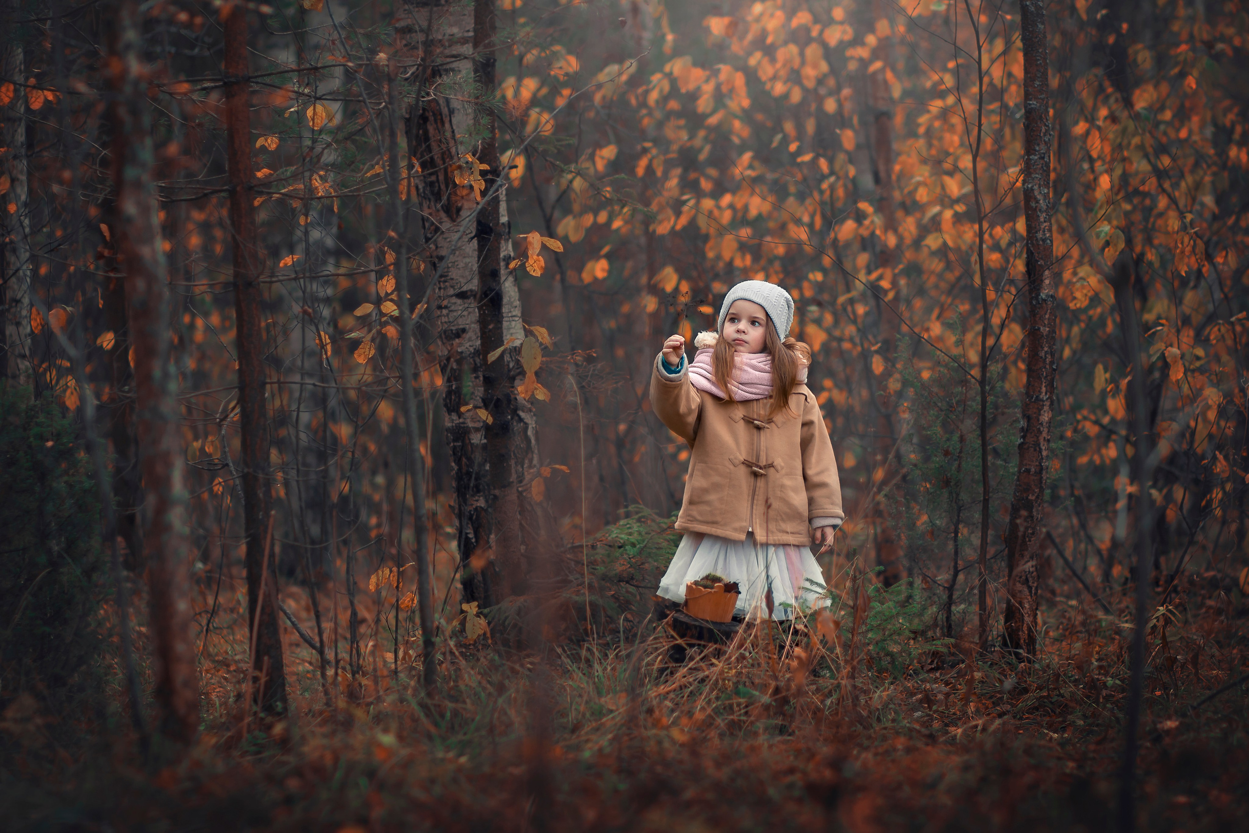 Дина 2019. Детский фотограф Наталья Назарова