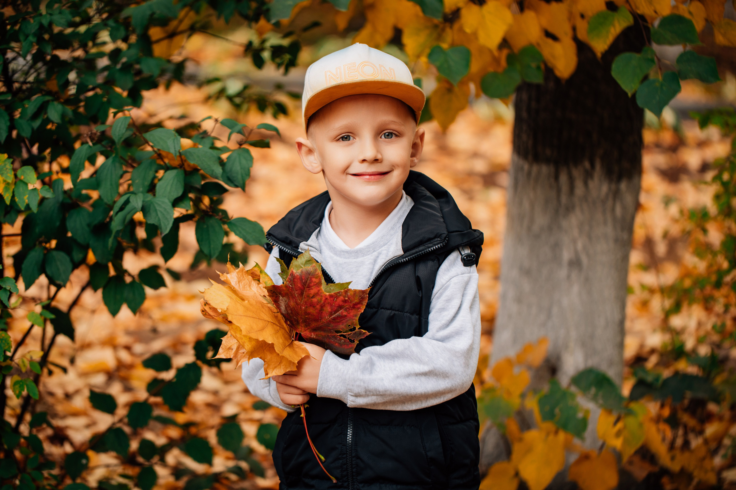 Примеры фотографий. Class Story