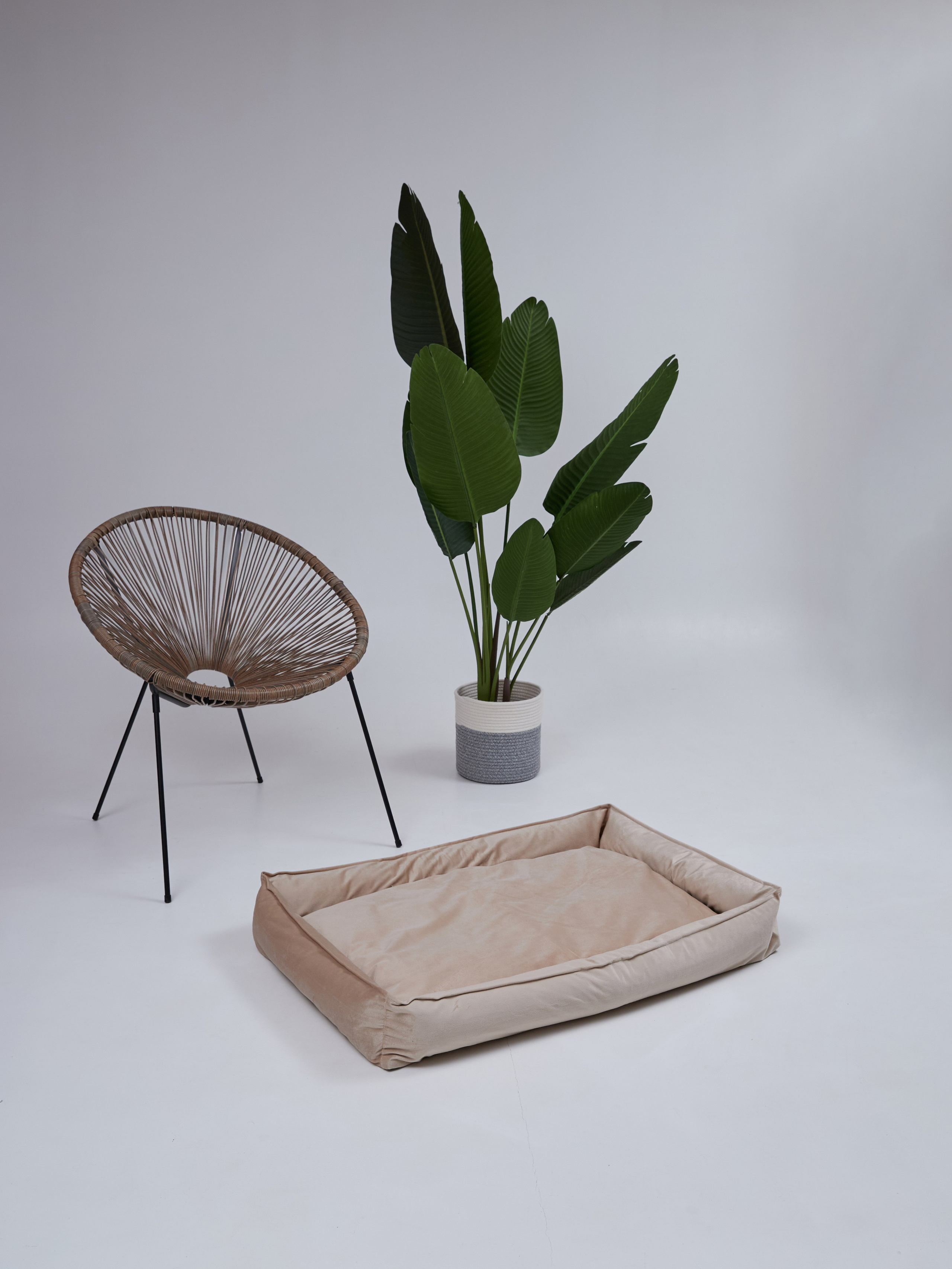 Лежанки. Фотограф