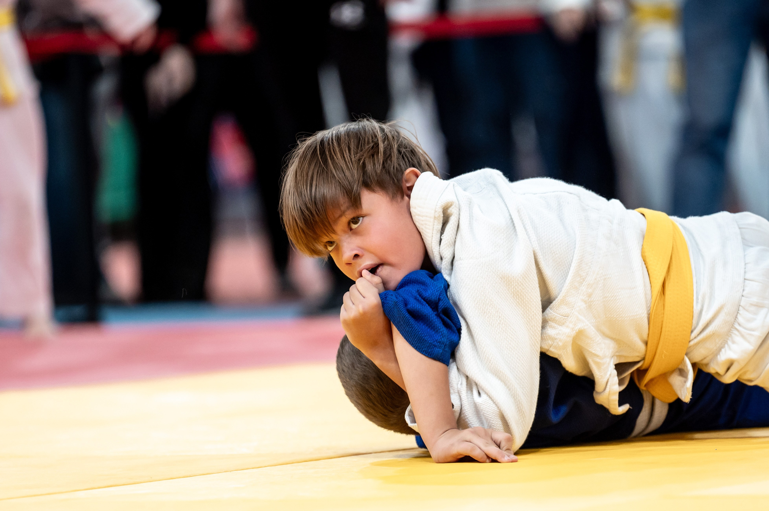 Новогодний турнир по дзюдо. Январь 2024. Спортивный фотограф в Туле и Тульской области. Файсханова Фото Спорт