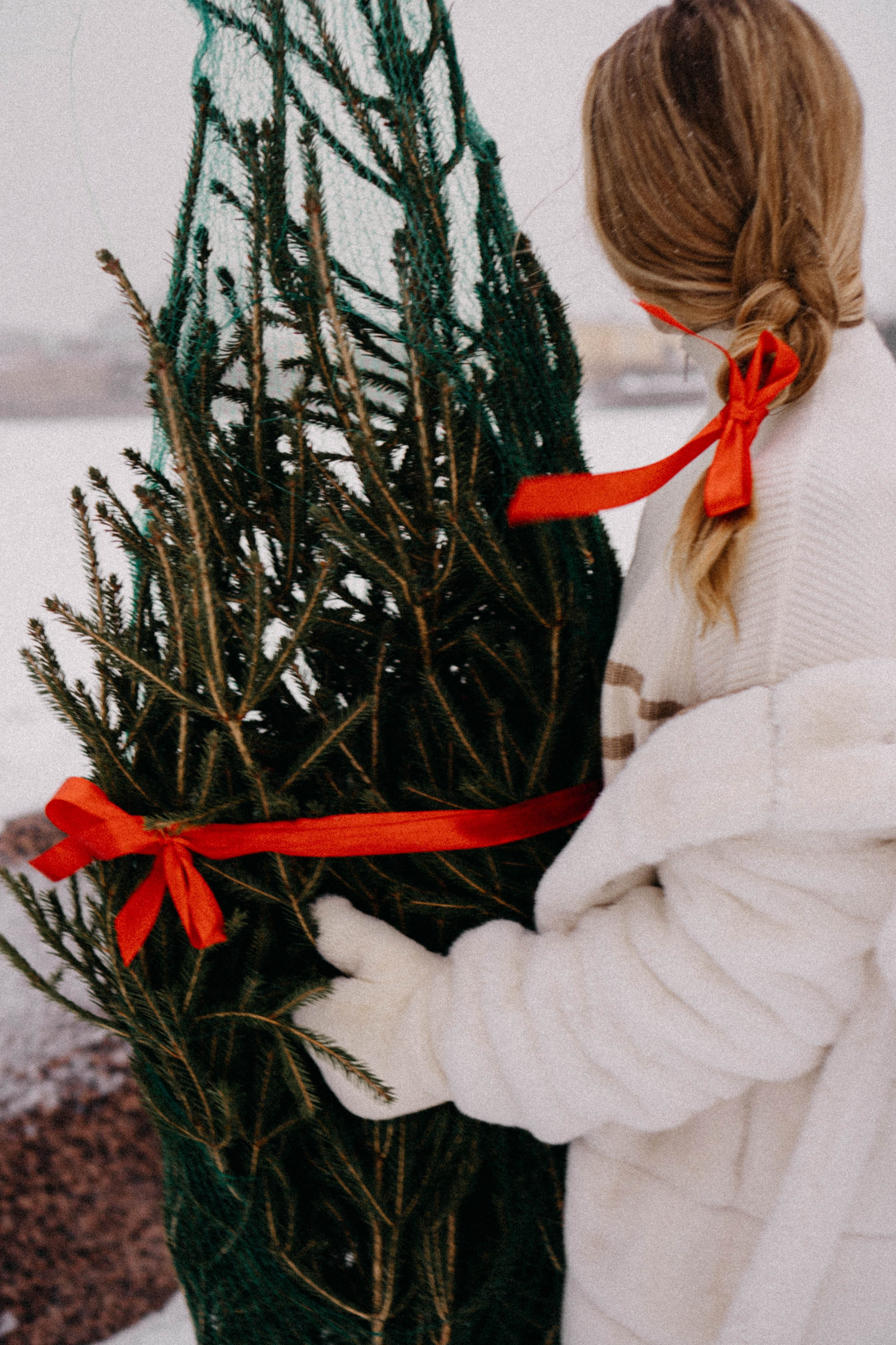 Новогодняя. Профессиональный фотограф, Санкт-Петербург — Виктория Богомолова