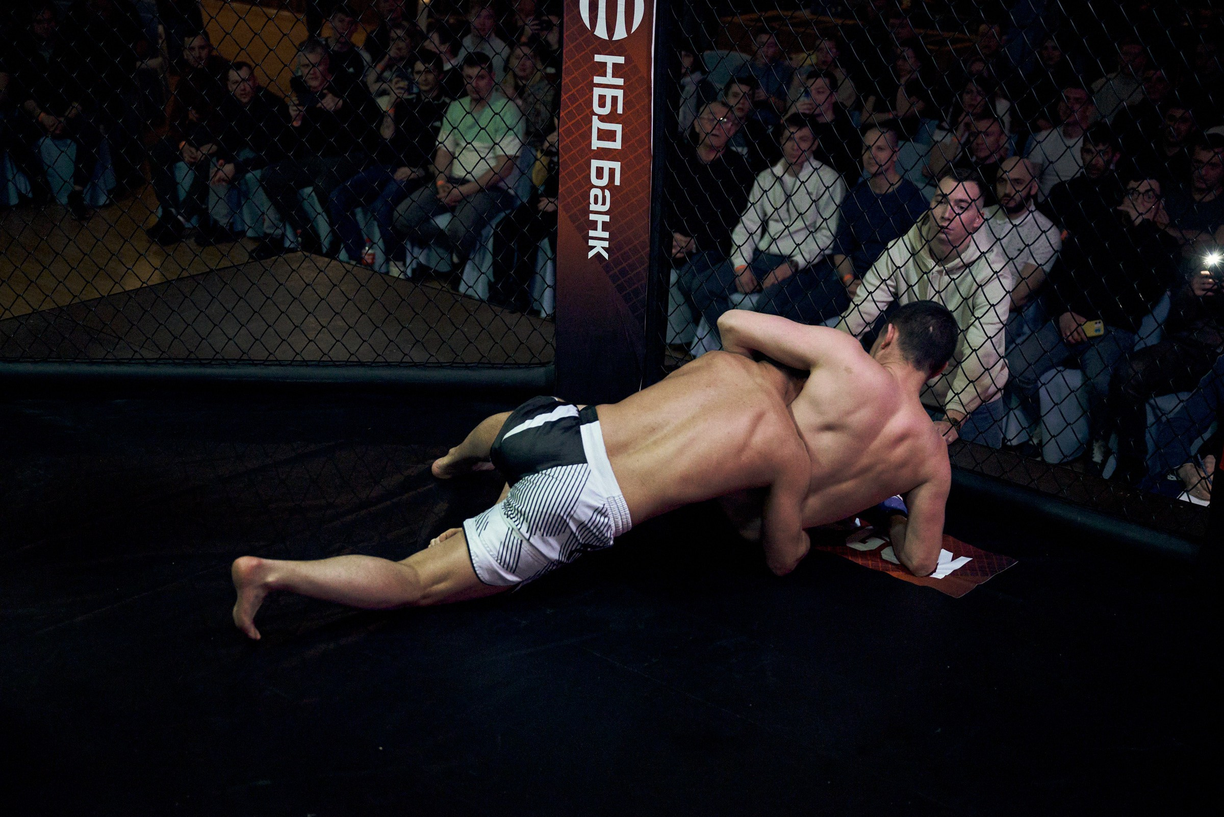 Бои. Маляревич Дмитрий свадебный фотограф