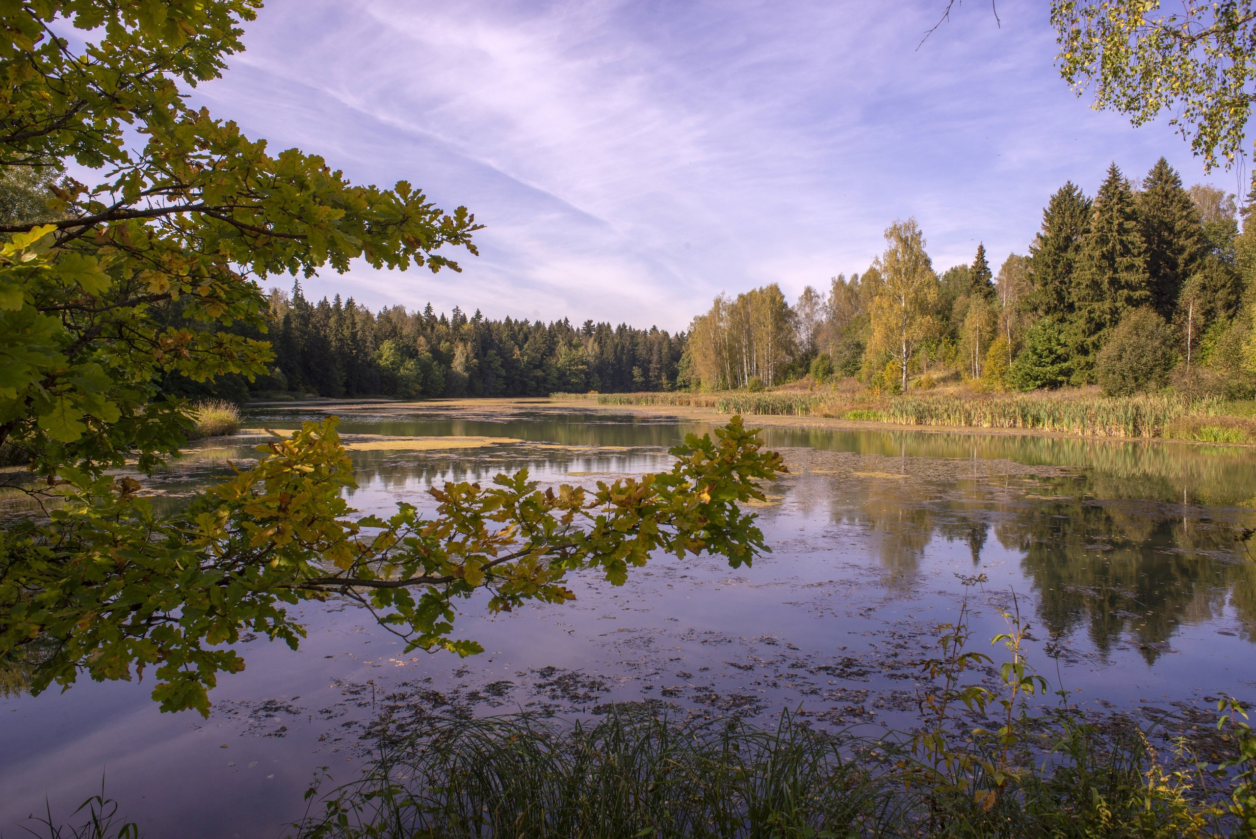 Абрамцево. Сентябрь 2023. Игорь Жучков. Россия увиденная глазами путешествующего фотографа
