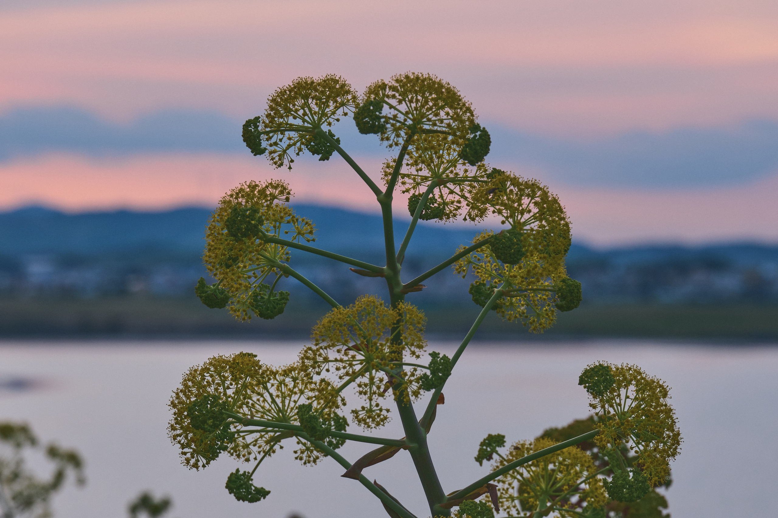 Cyprus 2024 / march. Aleksandr Kobtsev