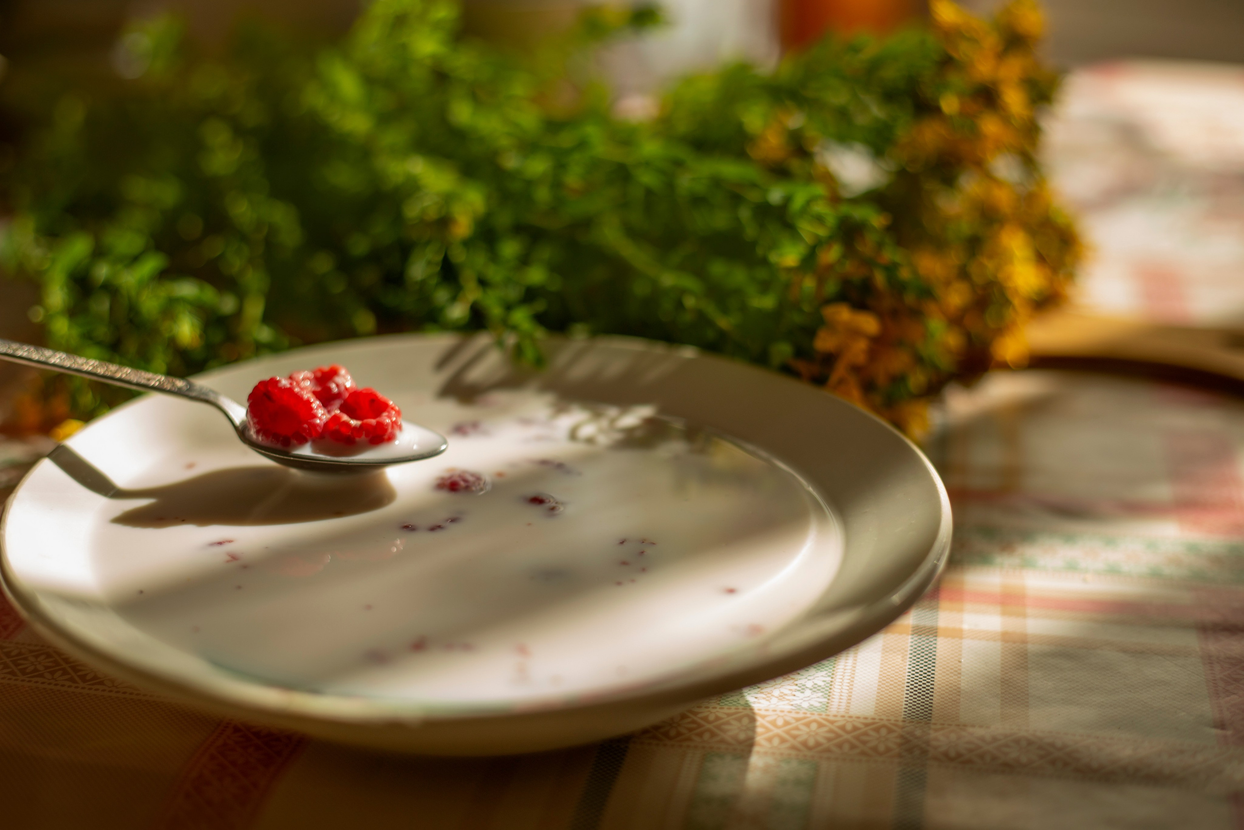 Просто красиво. Детский и семейный фотограф Барнаул Татьяна Губанова