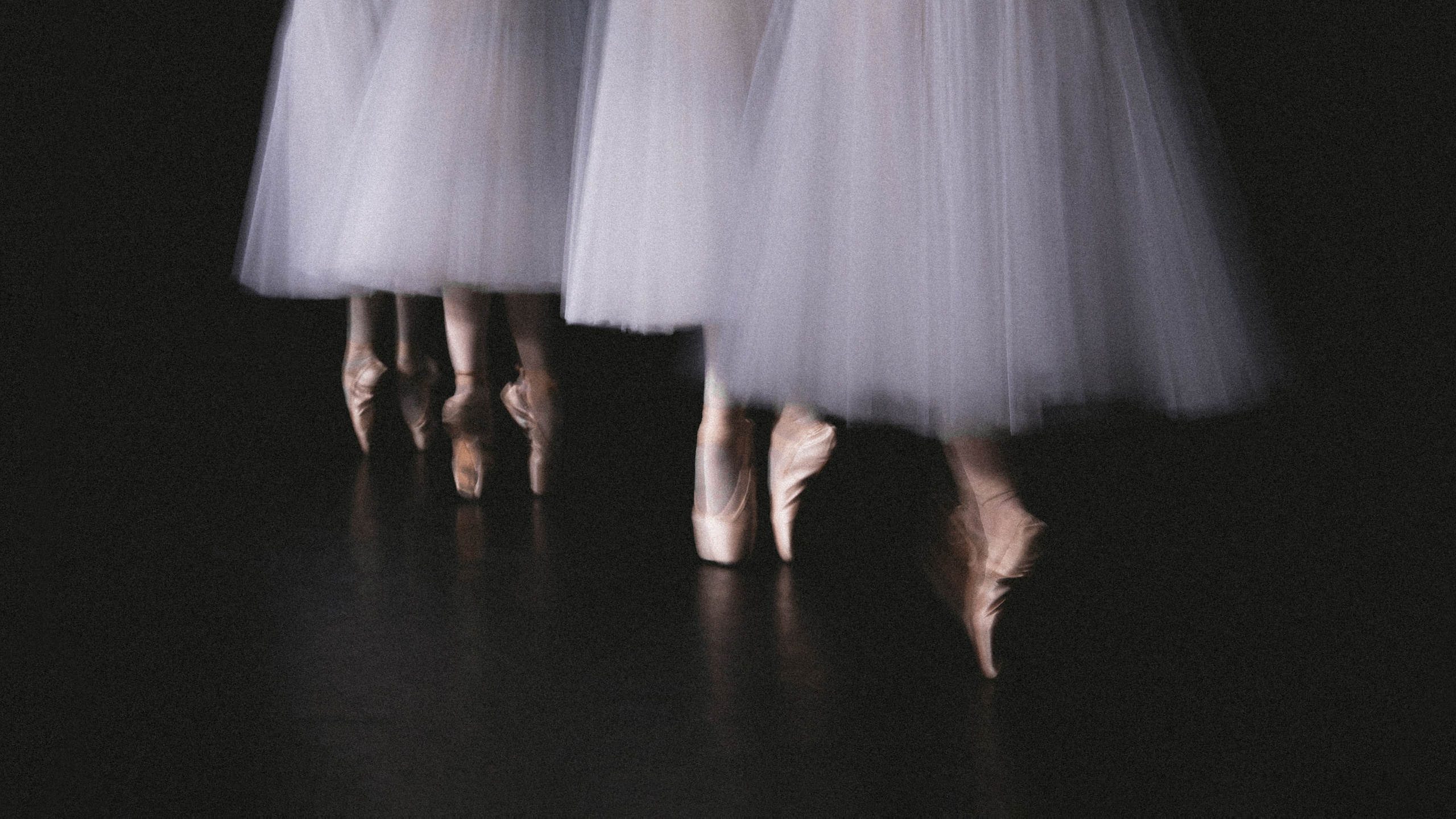 Фотограф Грачев Никита