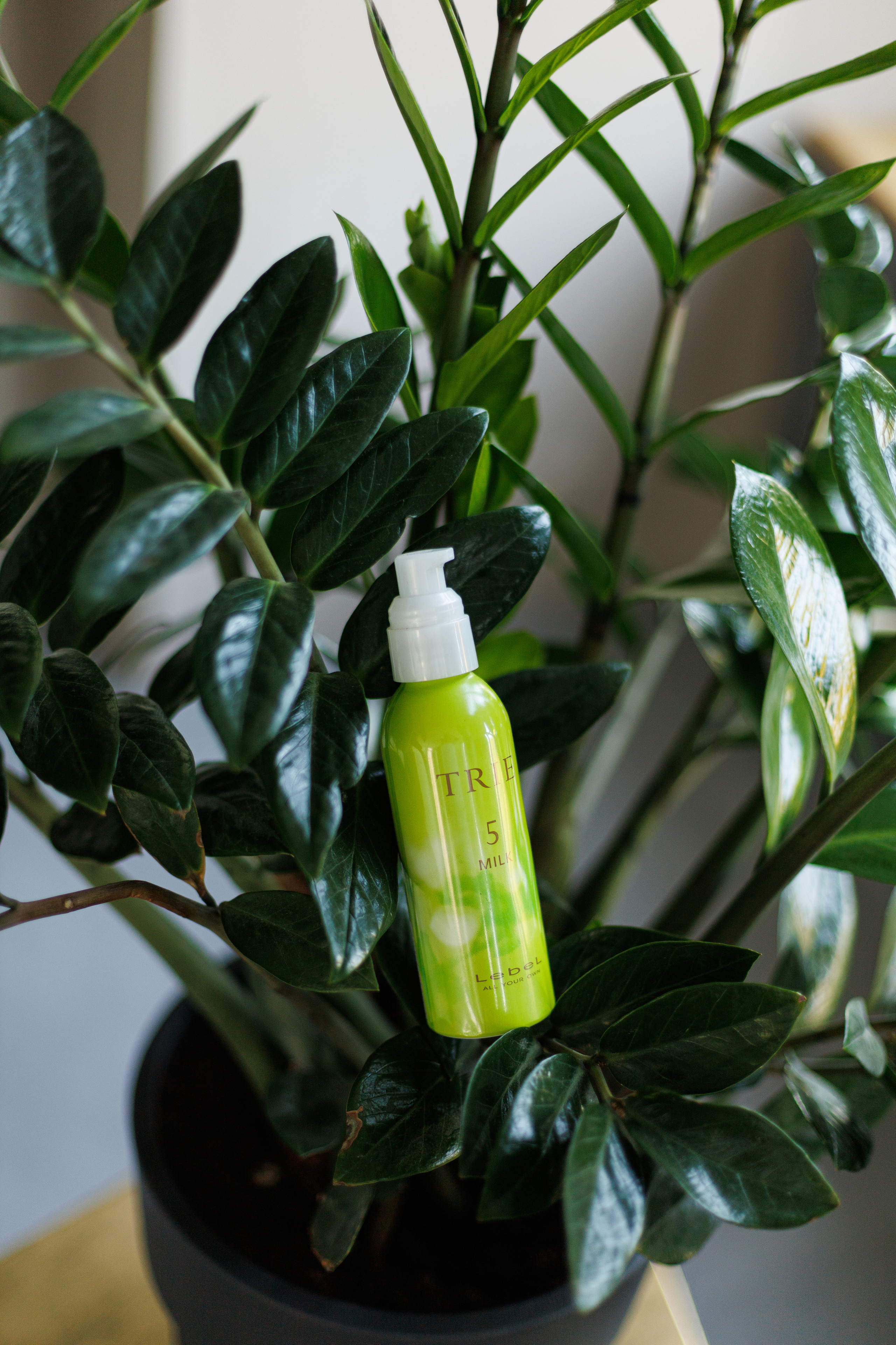 Ольга. Фотограф в Самаре Алена Гречка