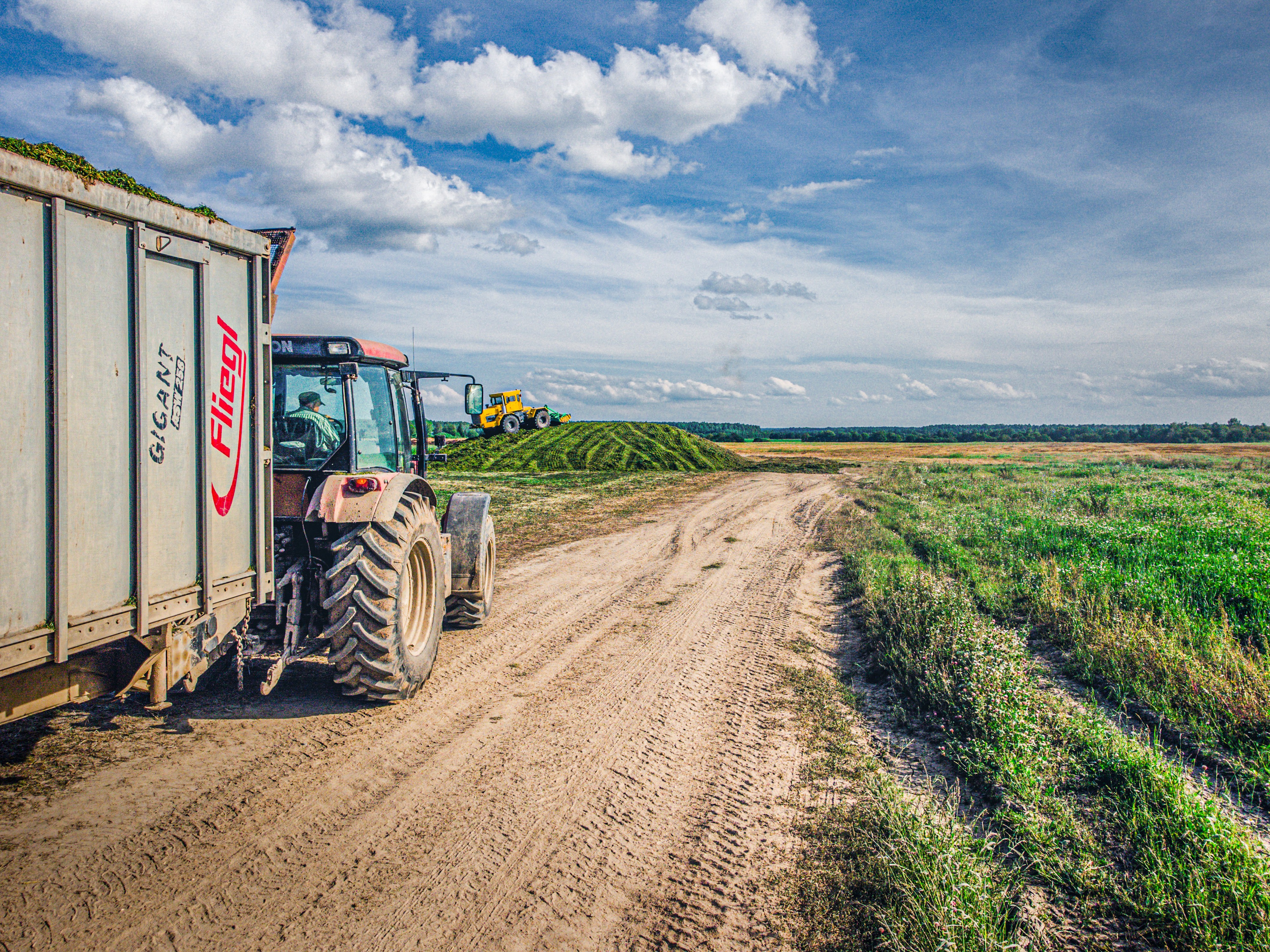 комбайны укатывают траву (силосование) , сельское хозяйство Любимского района, Ярославской области