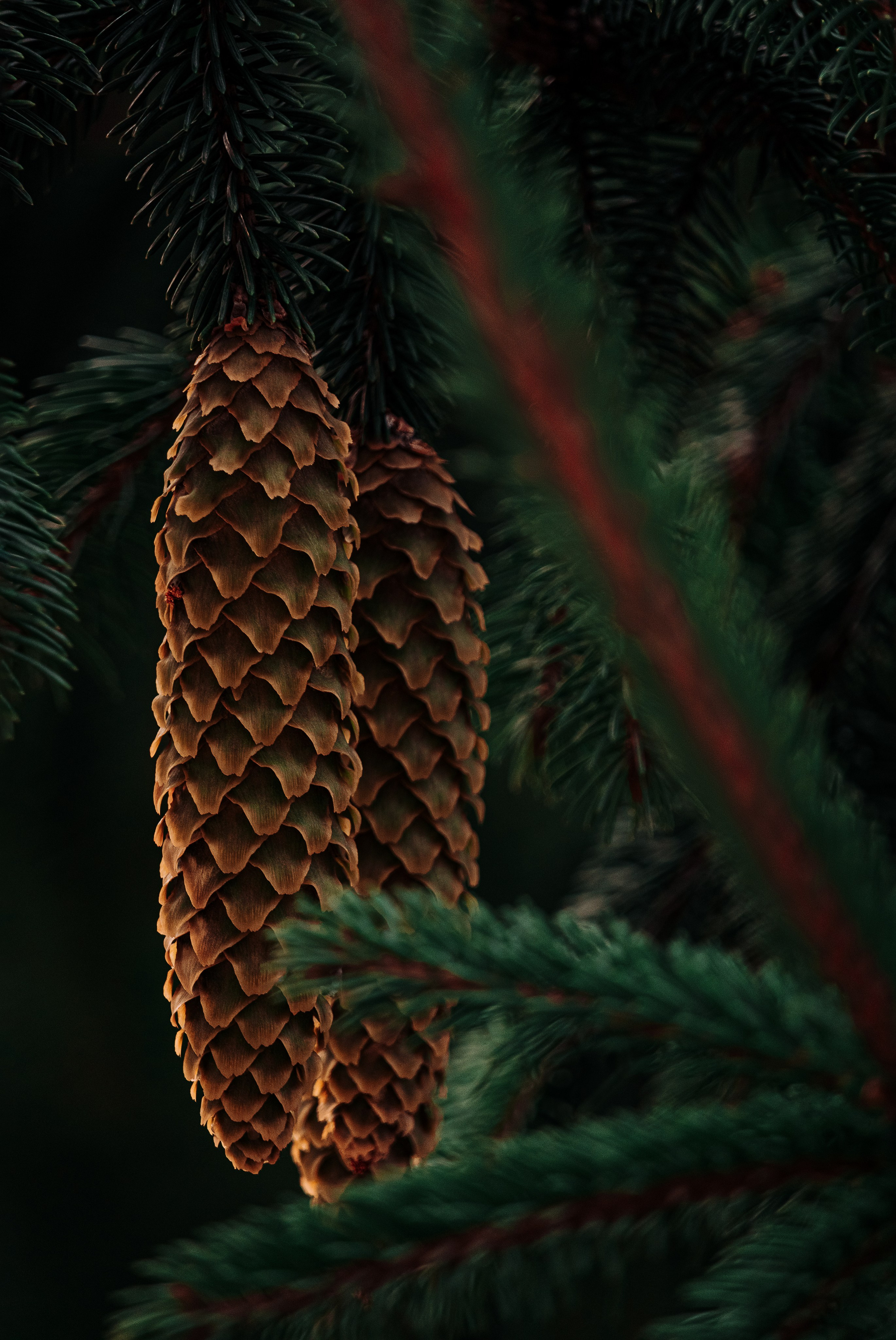 Жизнь. Фотограф Алматы | Весь мир — Никита Колодин