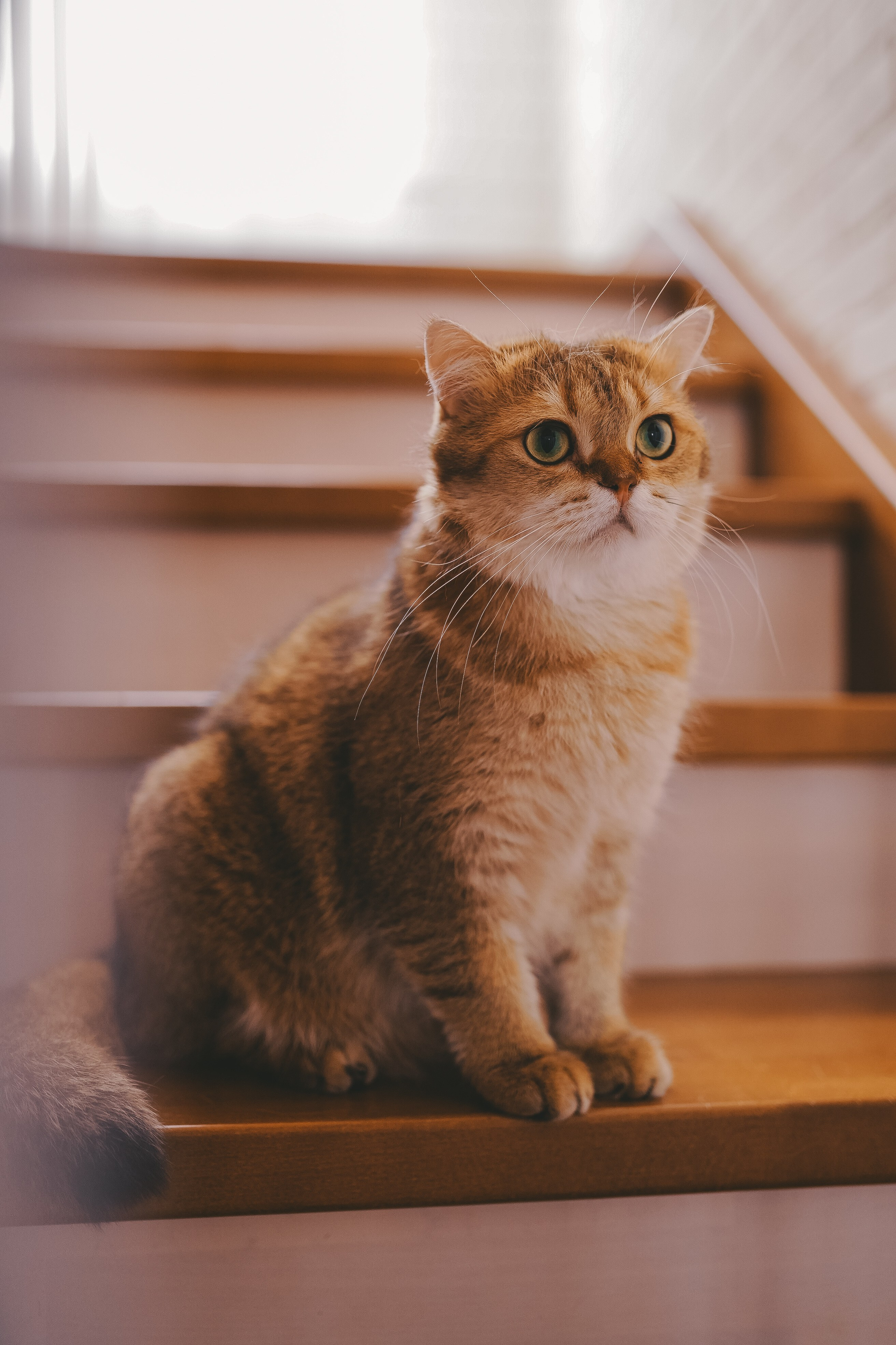 Василиса, Даша и Сережа. Семейный lifestyle фотограф Наталья Разгуляева в Москве