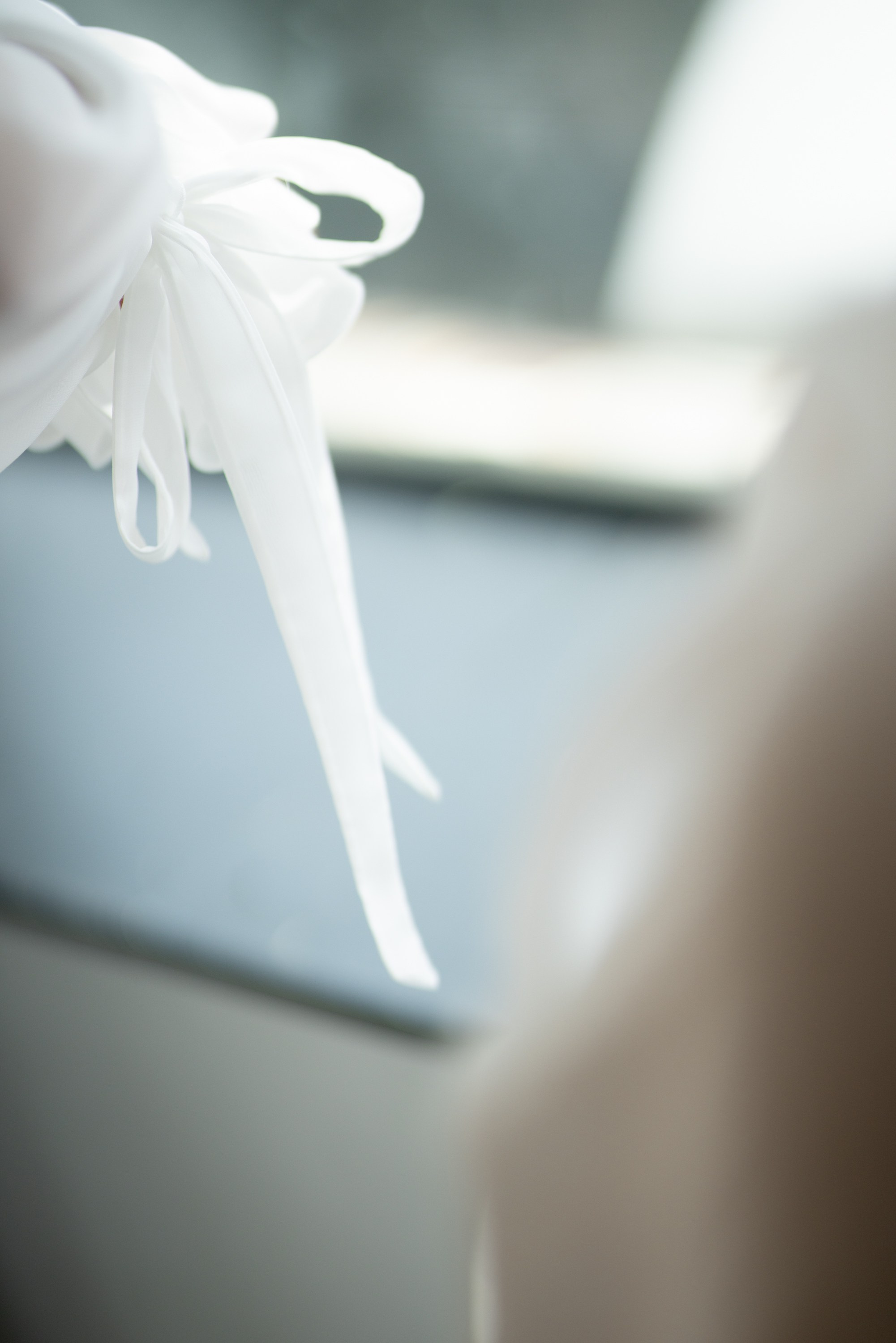 Матвей и Екатерина. Свадебный и семейный фотограф в Орша