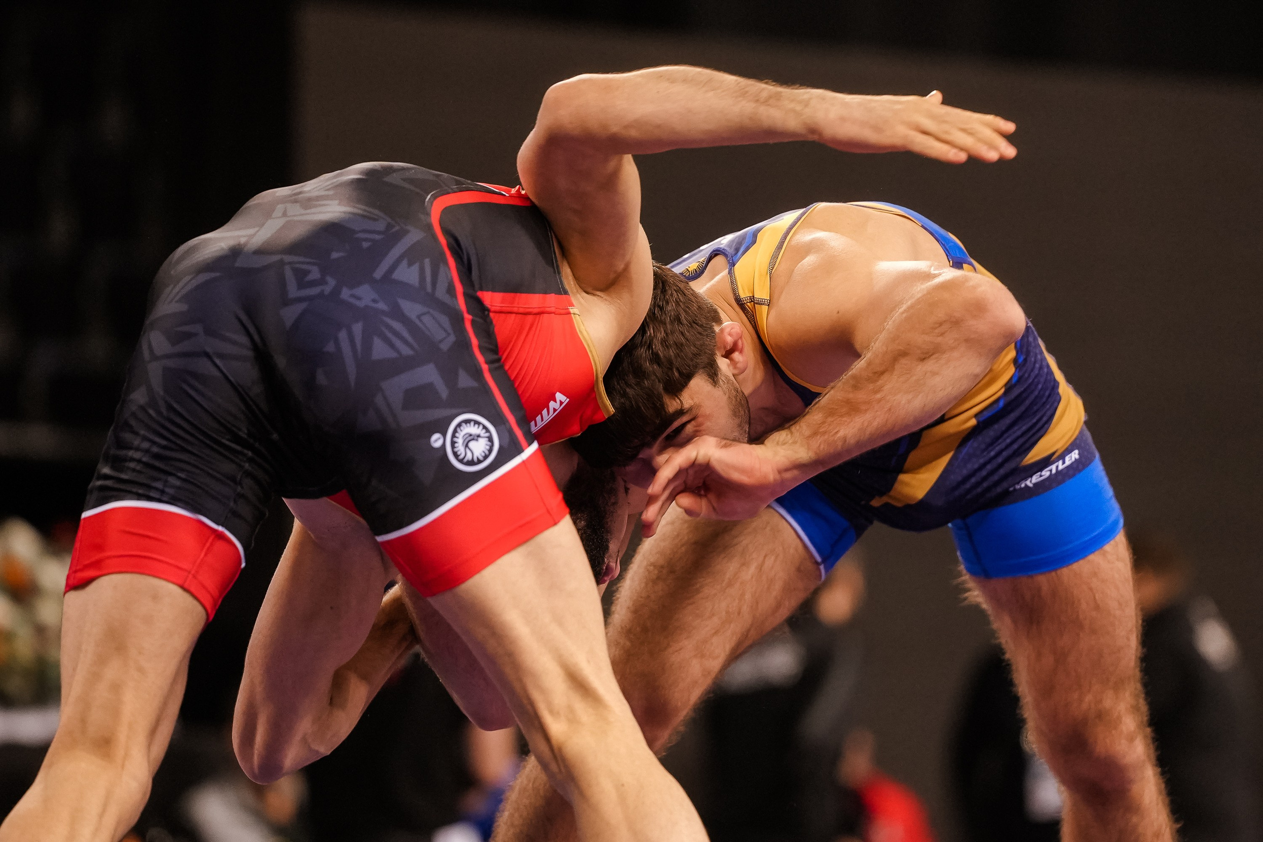 Кубок Ивана Ярыгина 2024 фото / Ivan Yarygin Cup 2024 photos. Фотограф Анна Герман. Красноярск