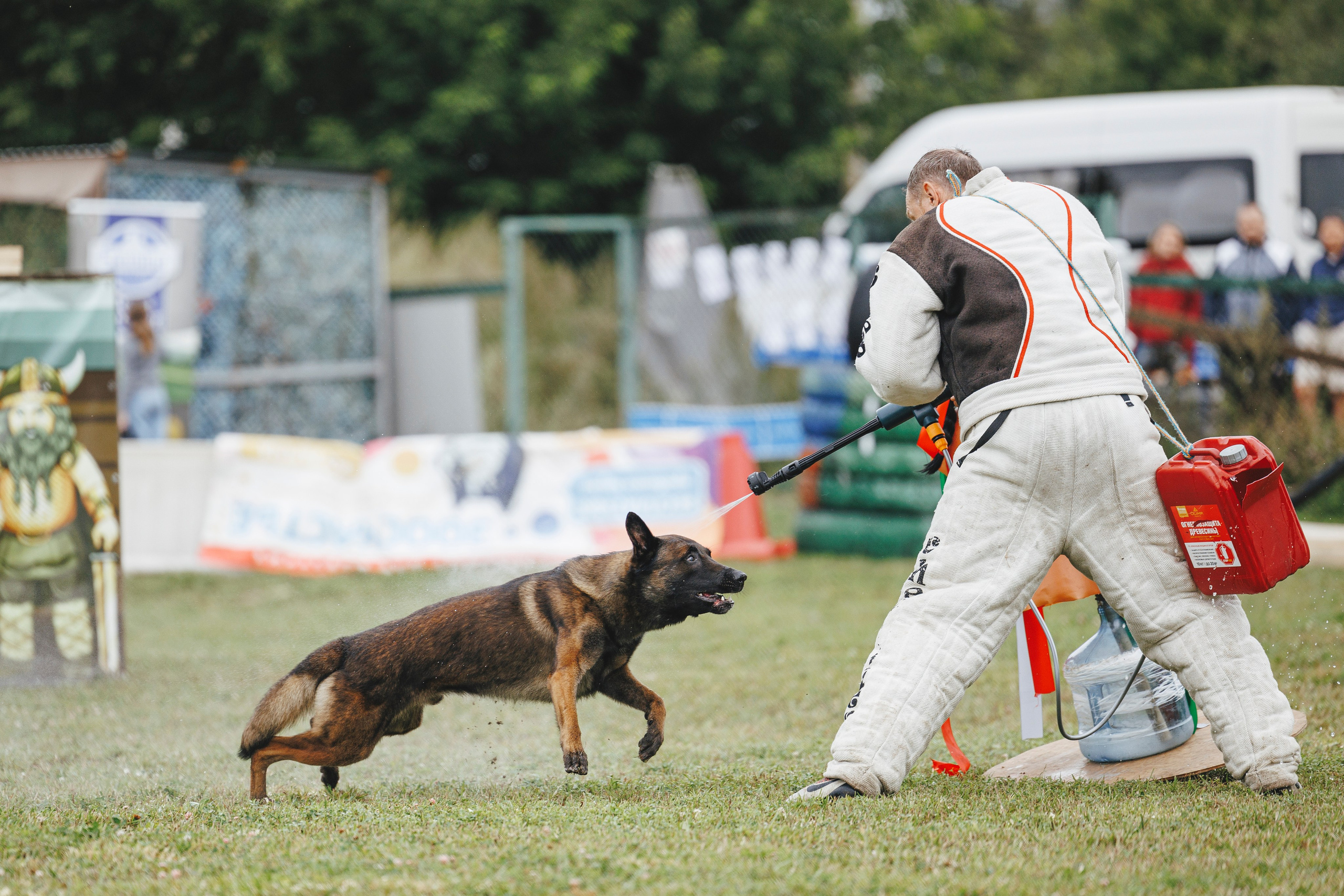 08.08.25-10.08.25 ЧР по мондьорингу г. Вологда. Фотограф-анималист Анна Маринич