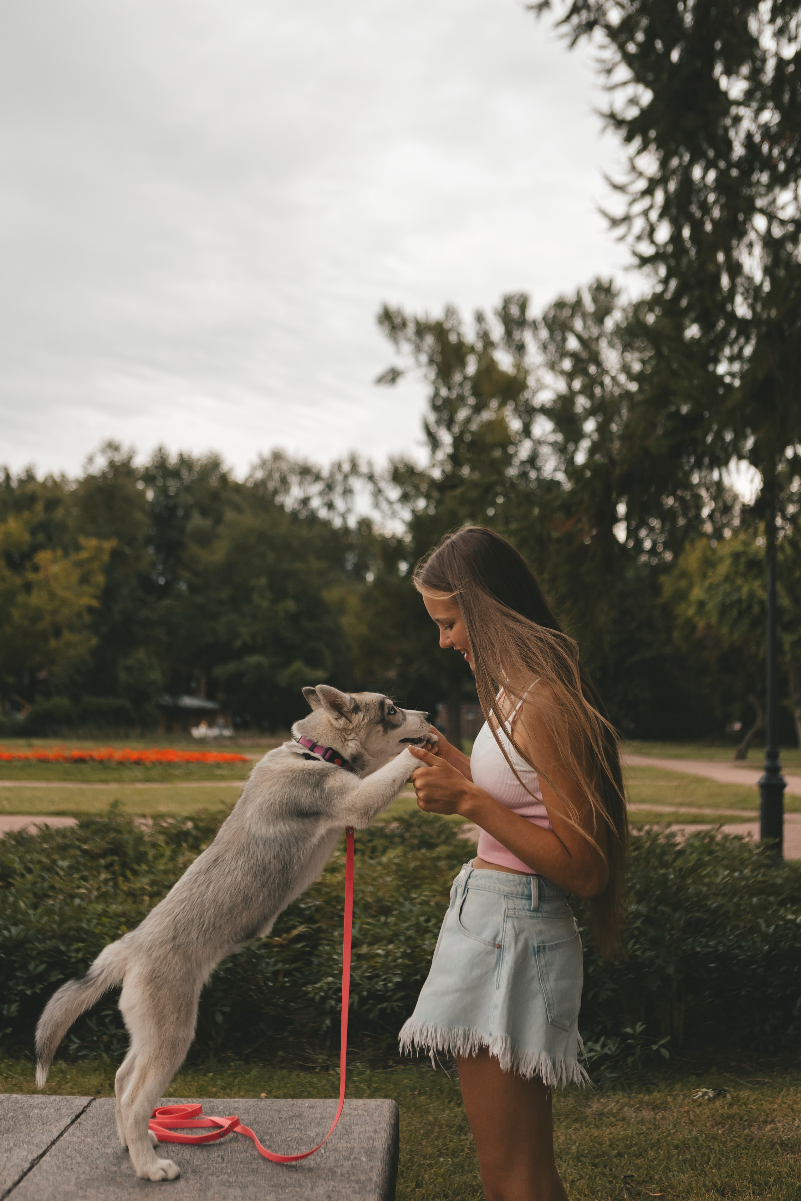 Милана и Белка. Фотограф-анималист в Санкт-Петербурге Алина Яхонт