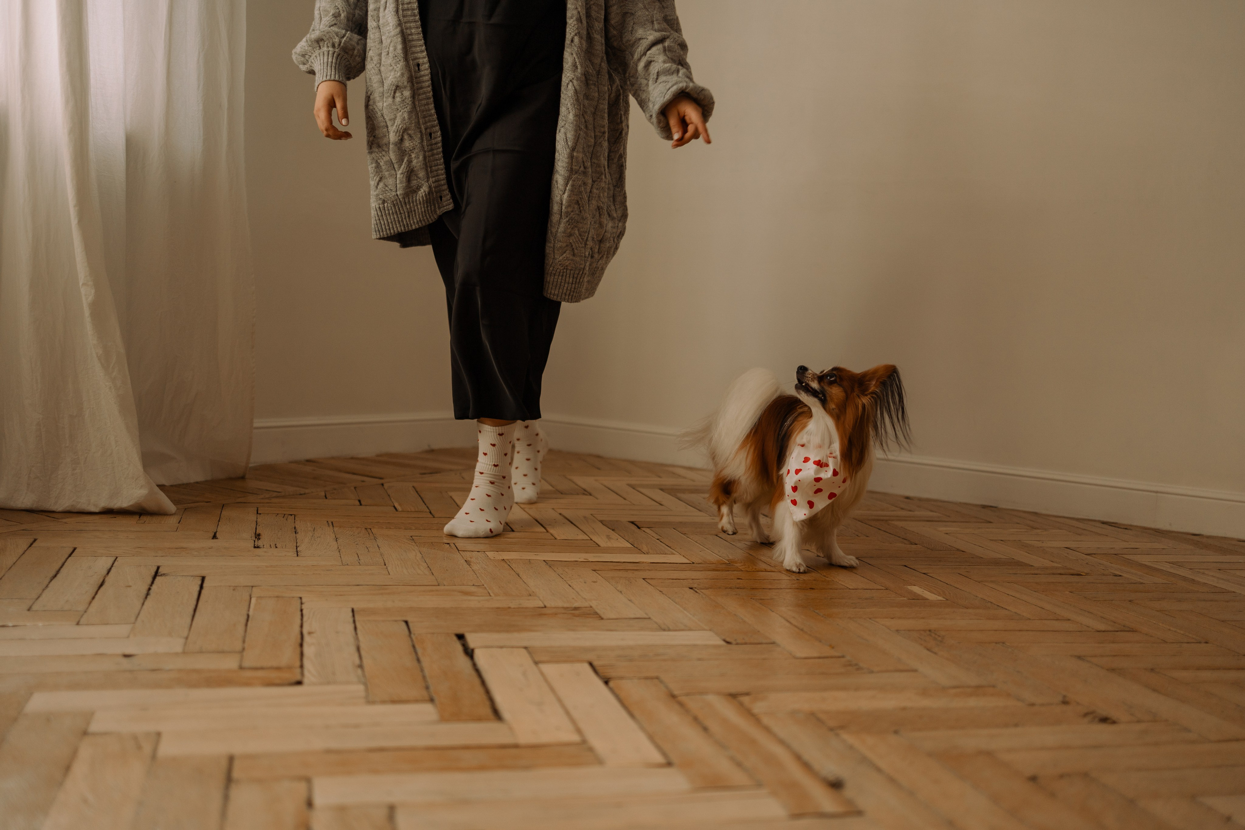 Женя и Брю. Фотограф — Анималист | Санкт-Петербург