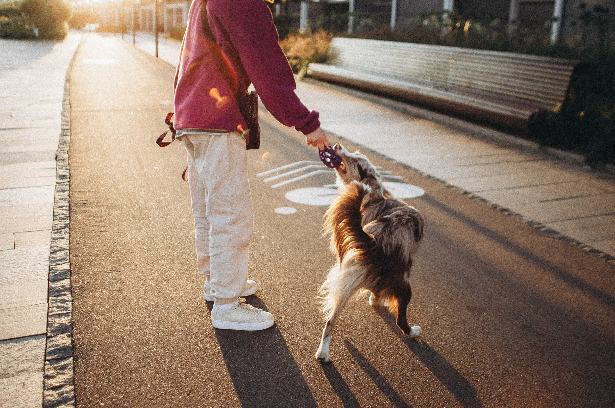 Аня и Дэймон. Фотограф-анималист Богданова Полина